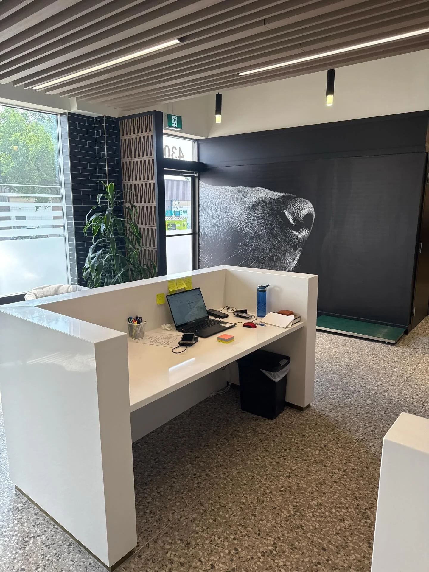 Take a look at this transformation we completed last year, which resulted in a full renovation of a veterinary clinic and agility centre
&nbsp;
This project required a complete overhaul of the space, including structural and framing work, electrical,