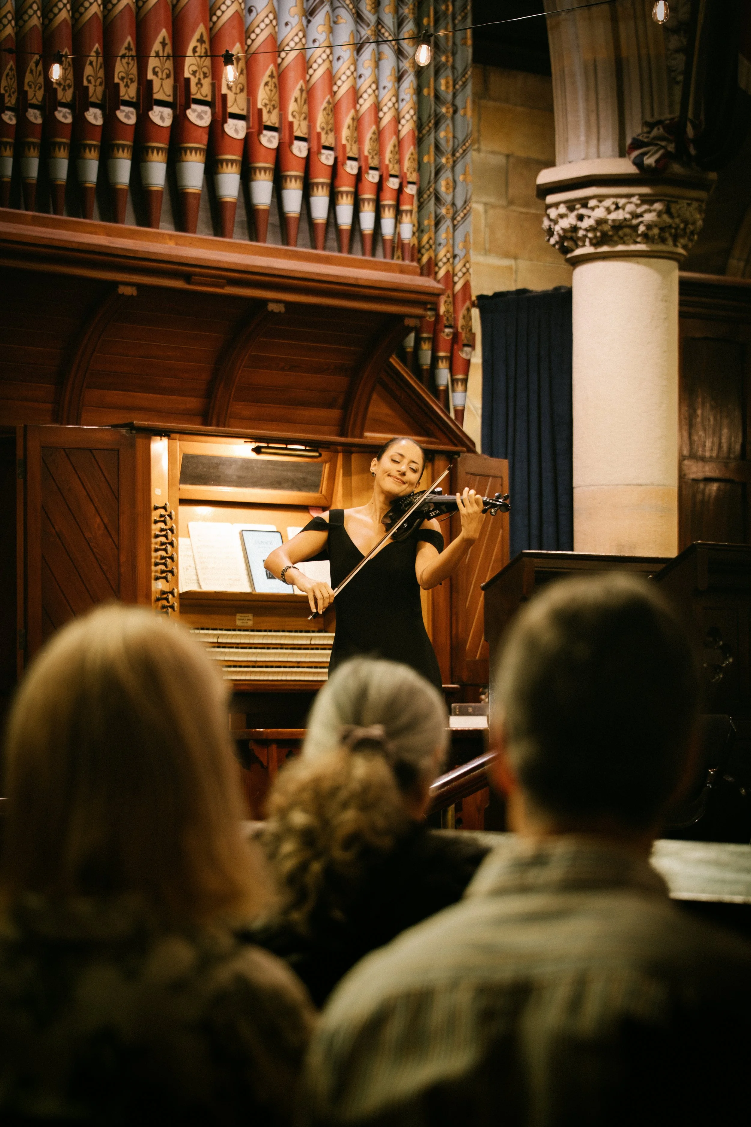 Sydney Wedding and Corporate Event Musician Violinist