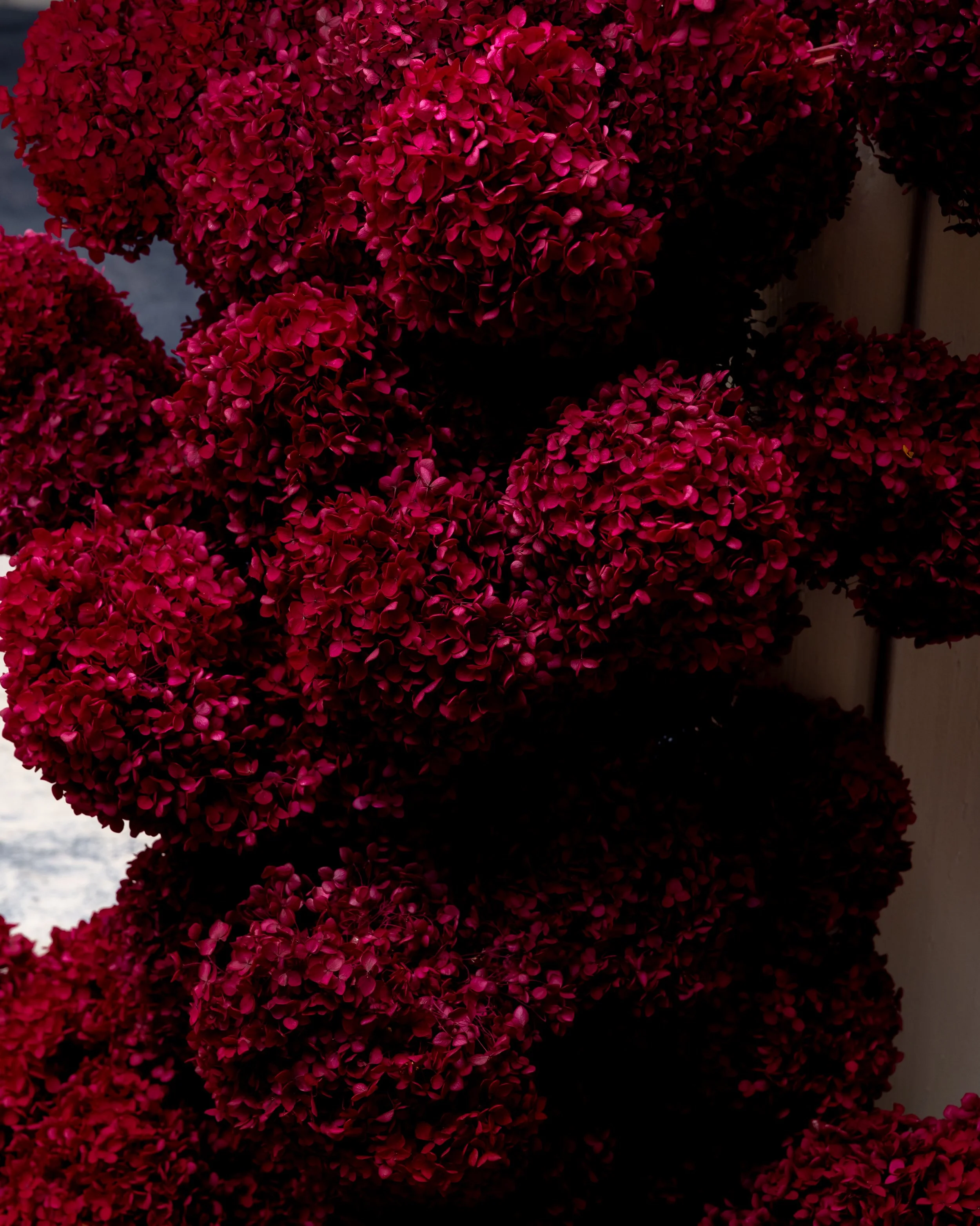 solo electric violin entertainment for birthday event in sydney