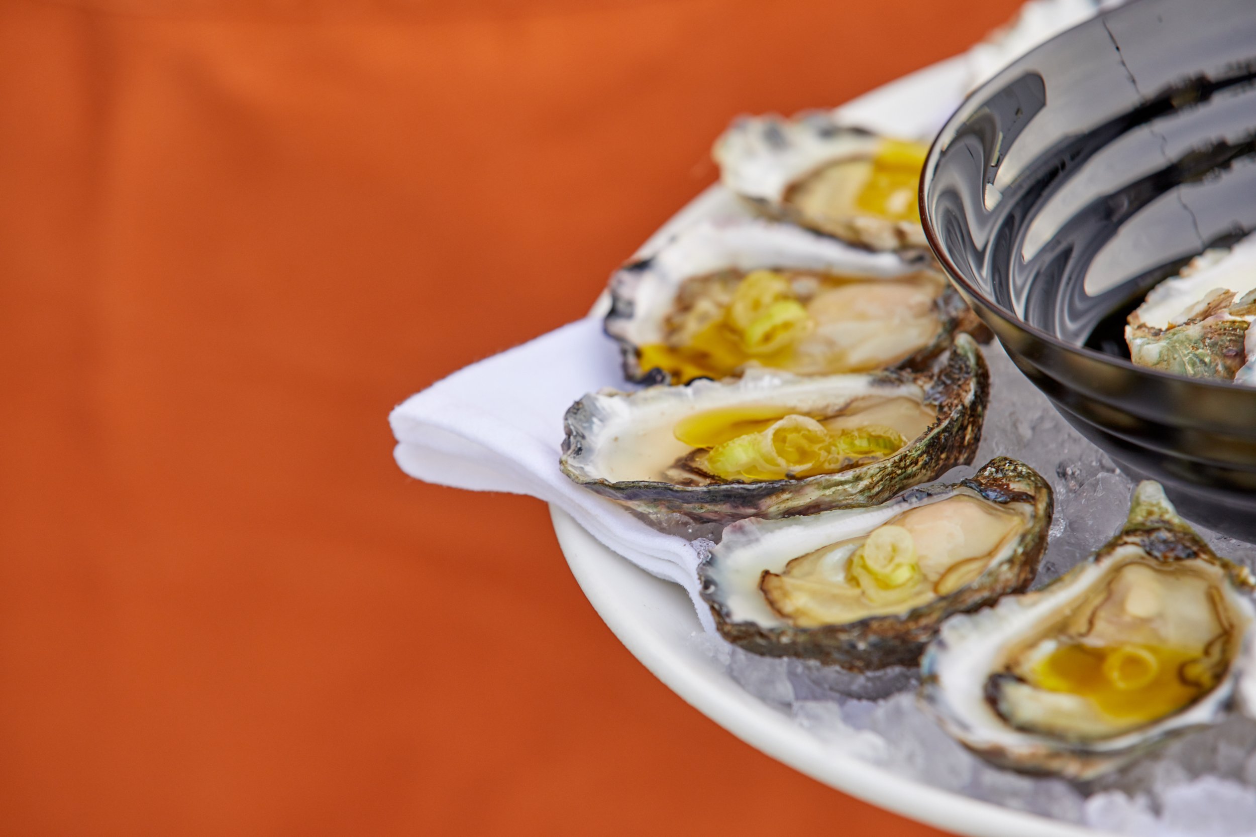 Music and Entertainment for Sydney Corporate Event