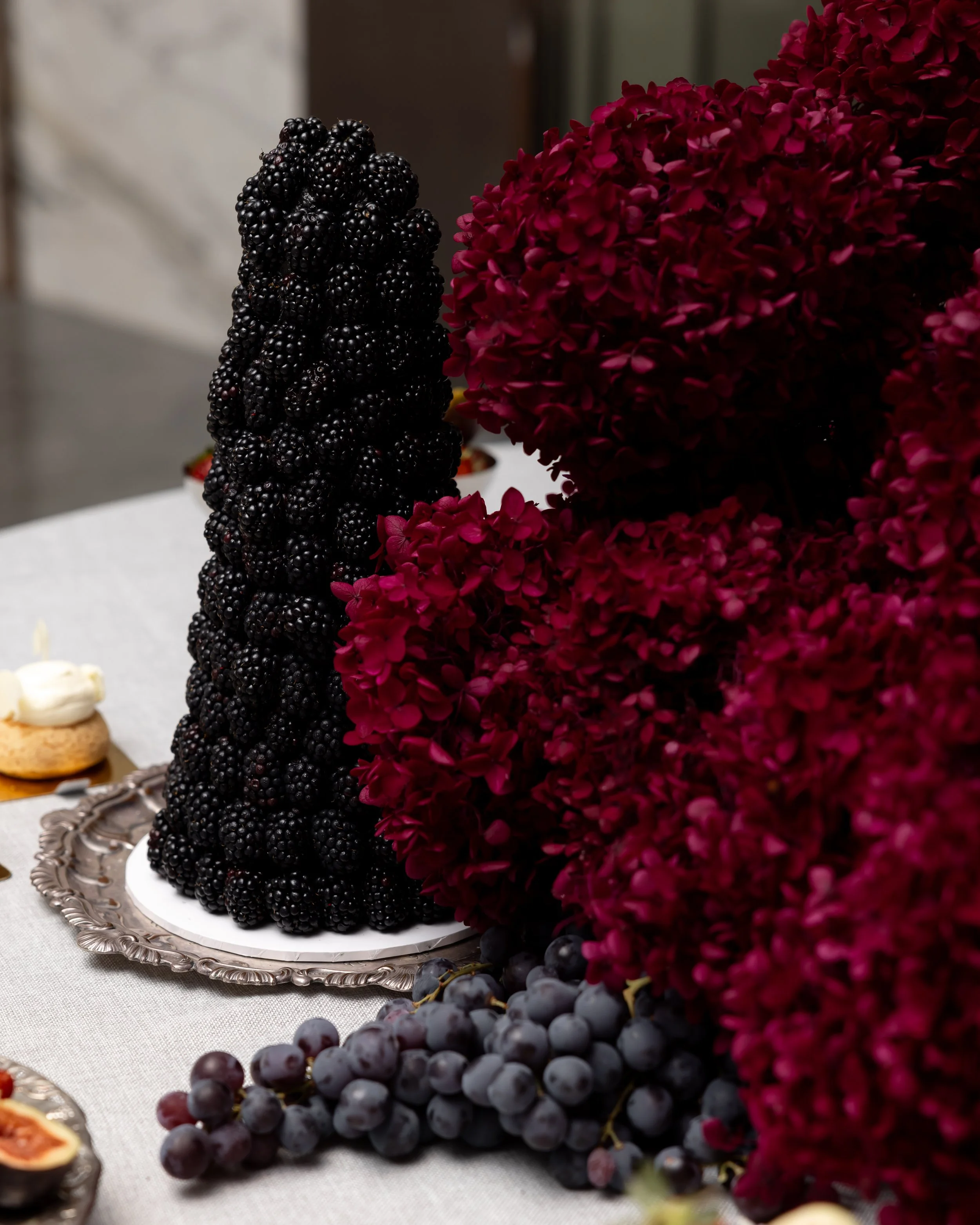 Sydney Entertainment options with live violinist