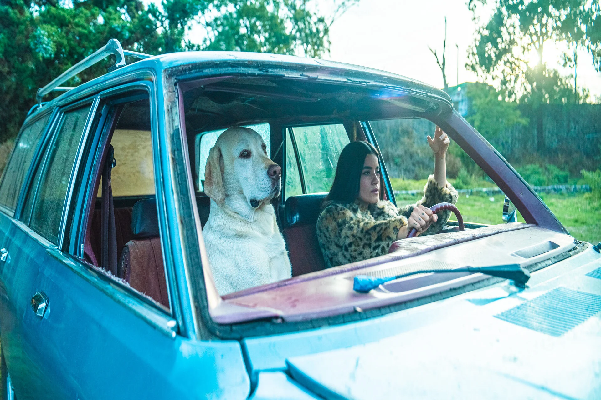 Sony Alpha - Gmaster Anamorphic Lens