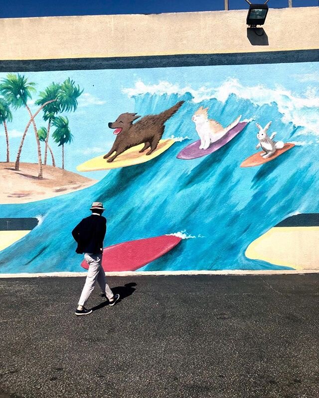 Surfing and spying. It&rsquo;s a beautiful day to explore