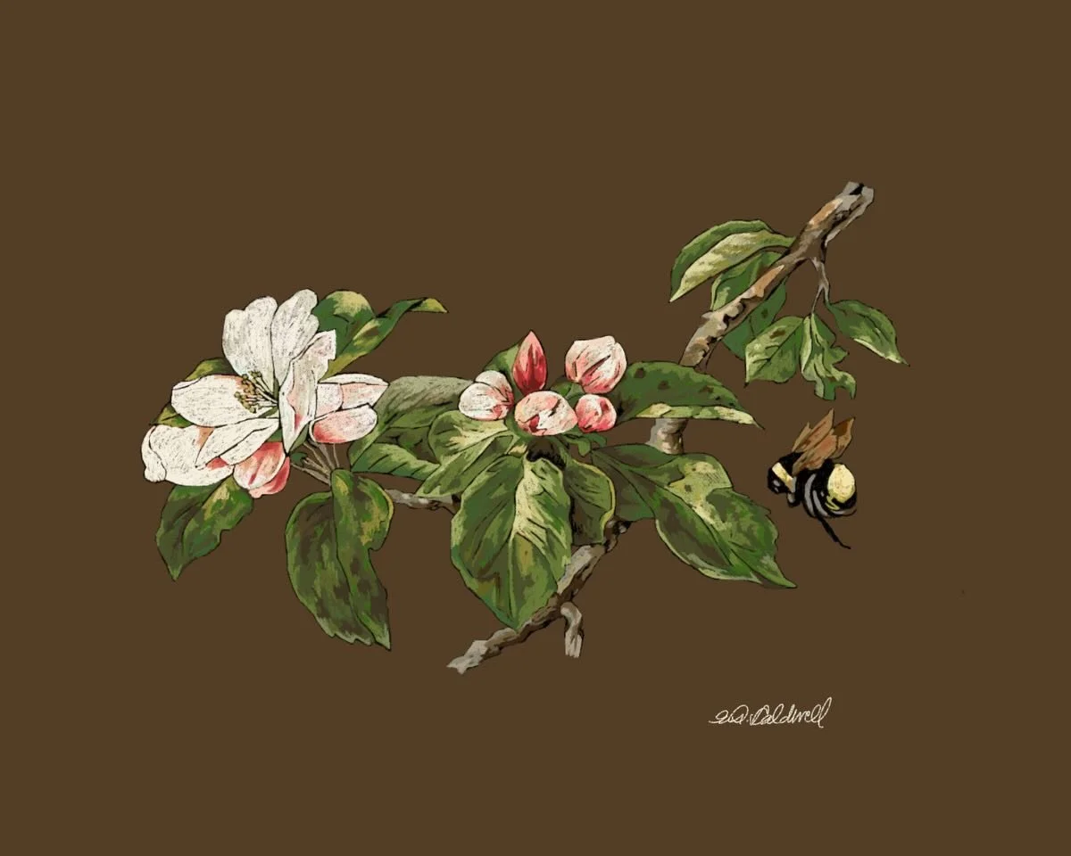 Last poll. These prints will be available soon in the top 2 colorways of each poll. 👏👏 also, that big bumblebee butt is my favorite!!! 🤣