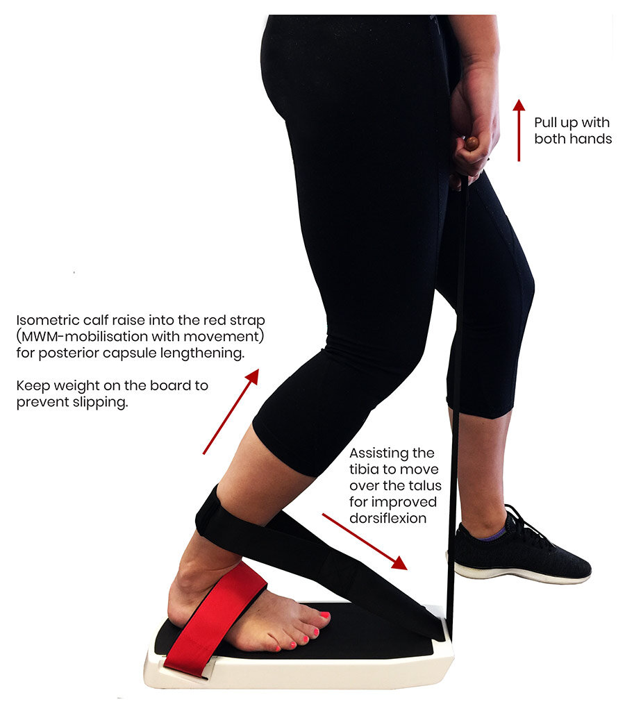 How to improve ankle dorsiflexion — TarsoPro™