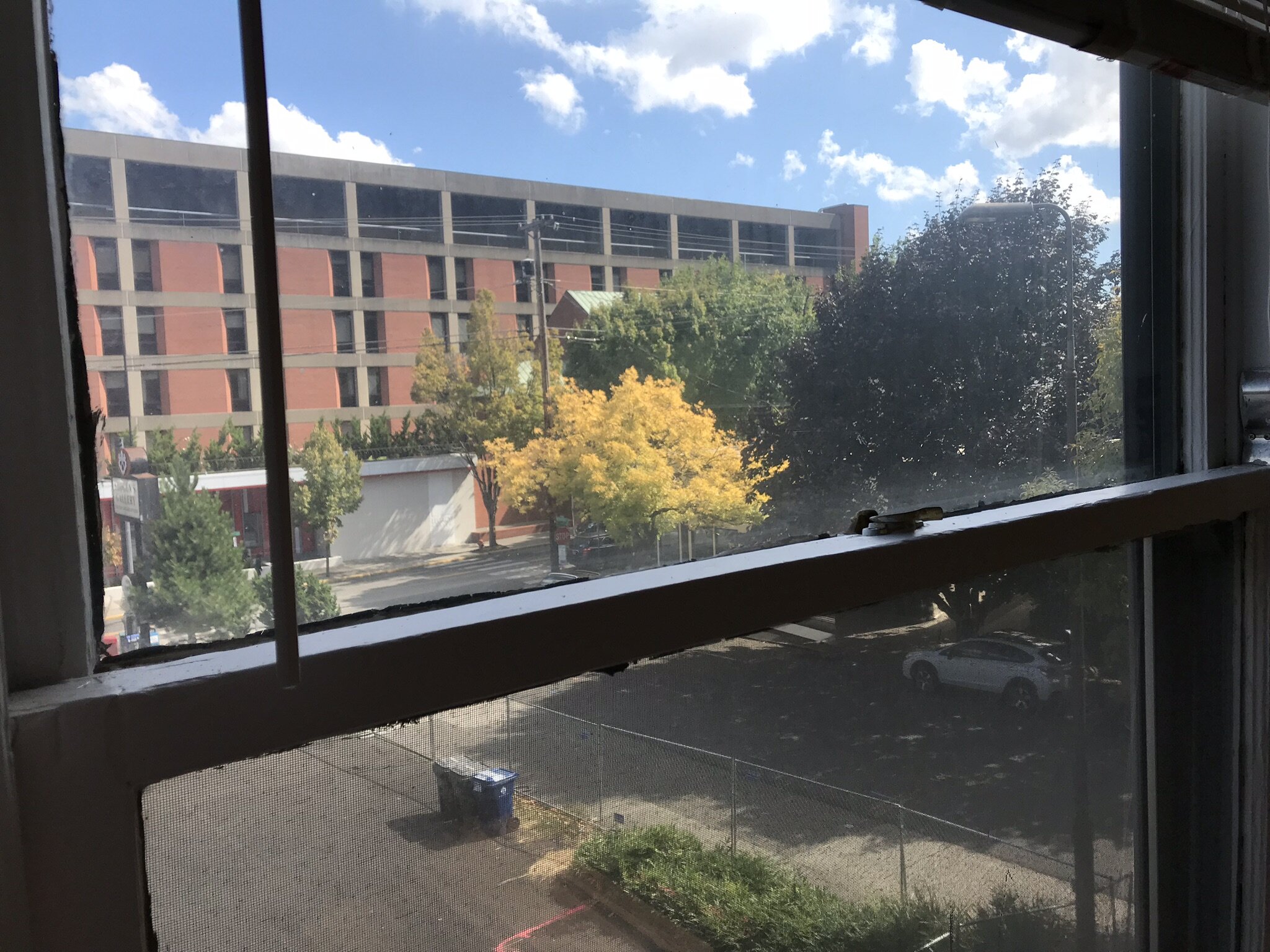 IMG_0242.jpeg