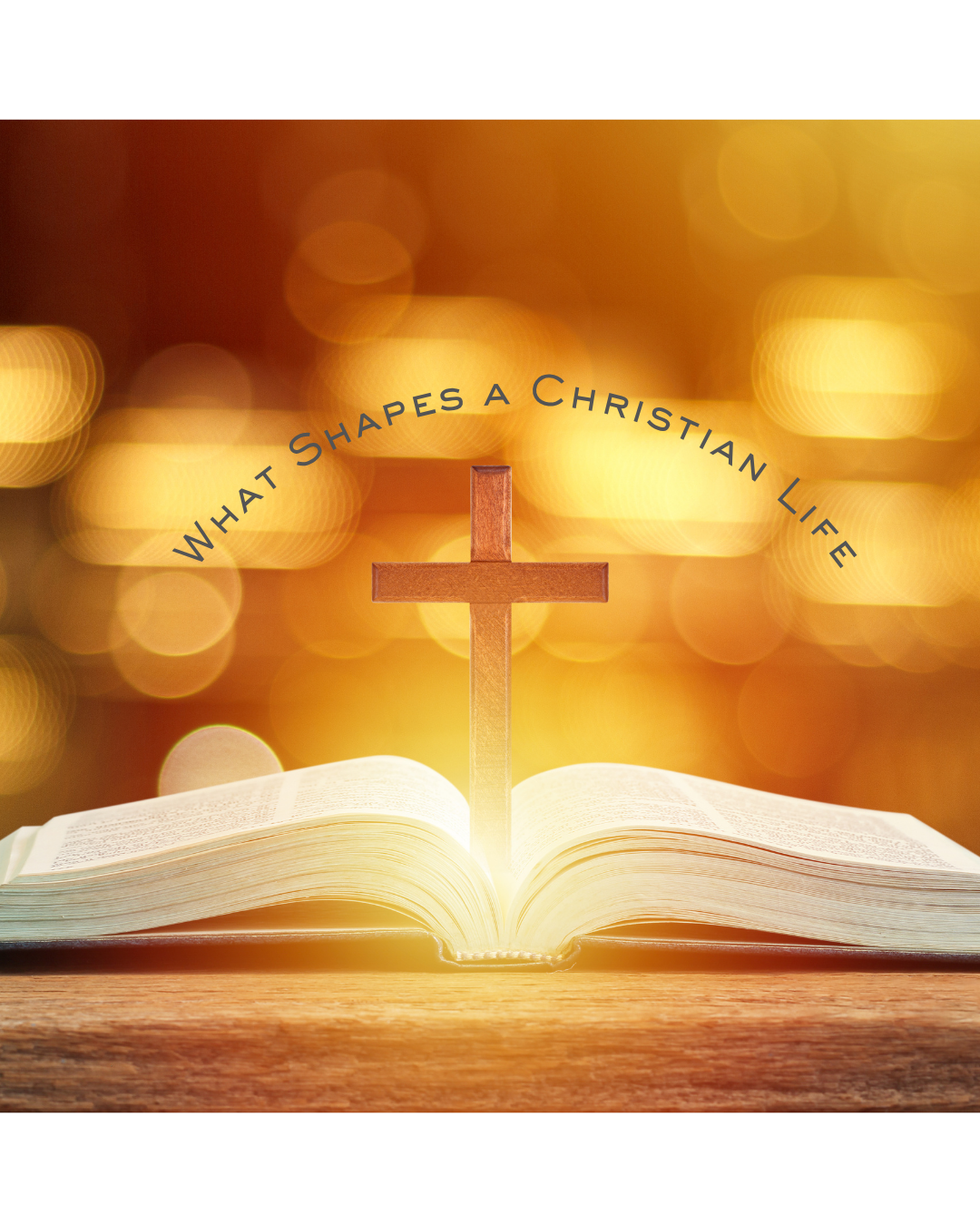 What Shapes a Christian Life: Christians Live in Two Kingdoms ~ Week 1