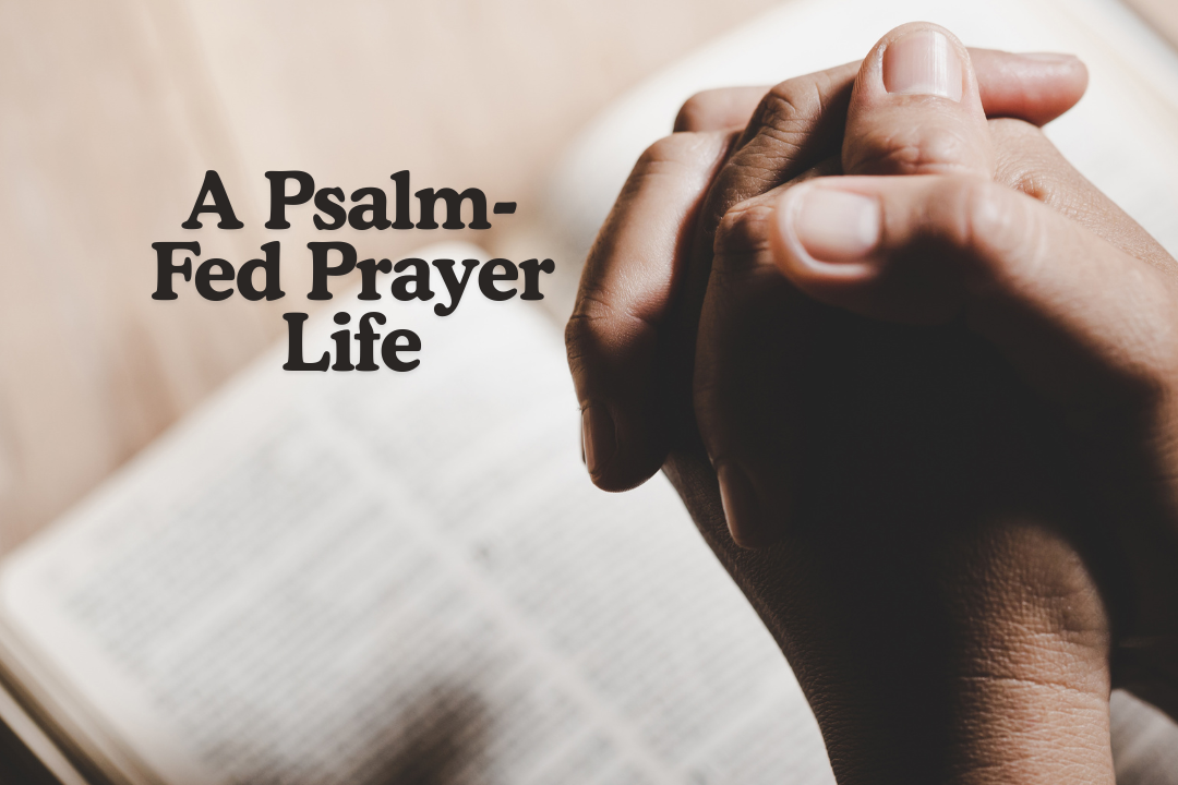 A Psalm Fed Prayer Life: How Long, O Lord? ~ Week 3