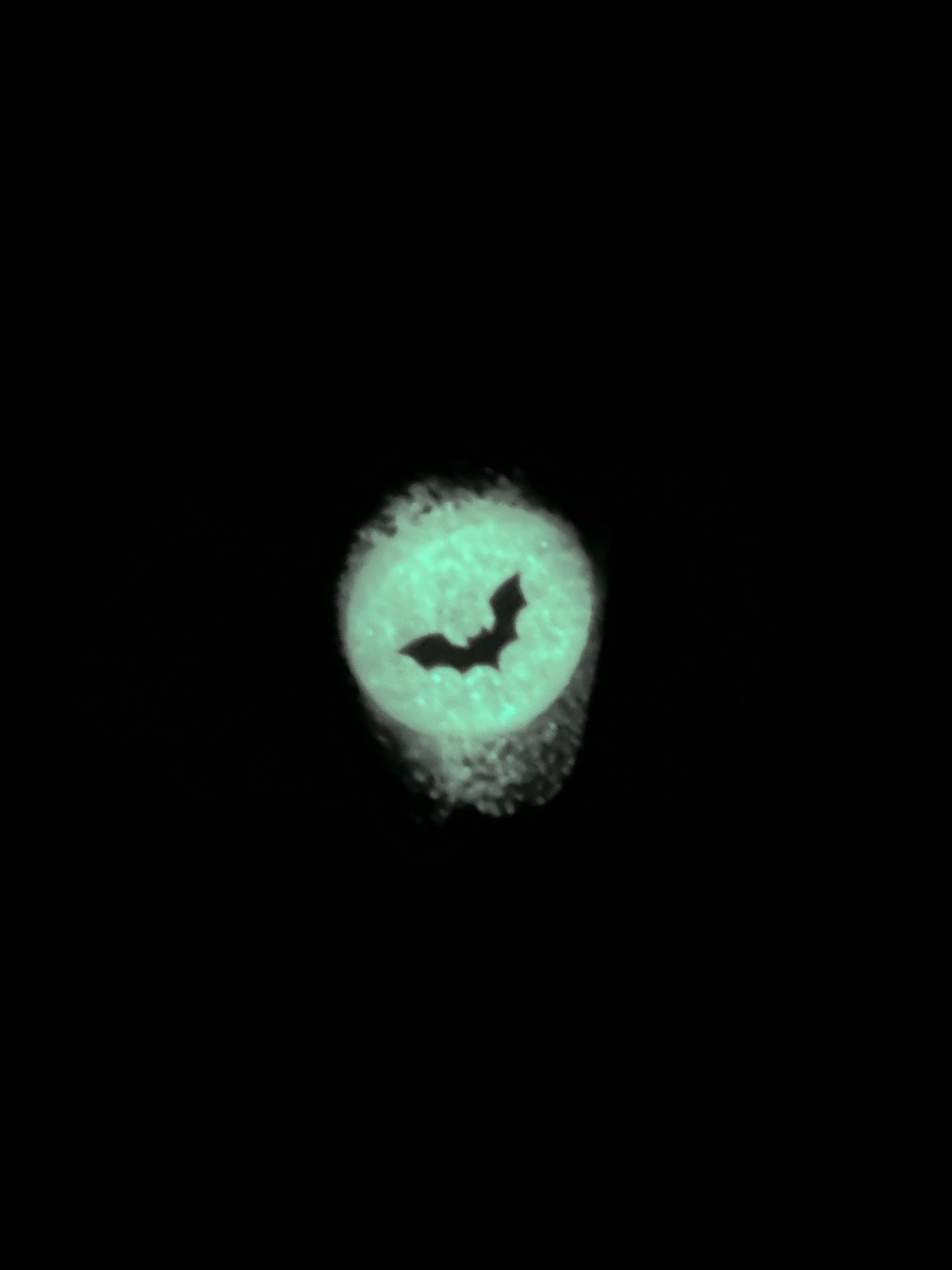 A52B4269-78AC-4759-AD7A-9B92807ACC6D.jpeg