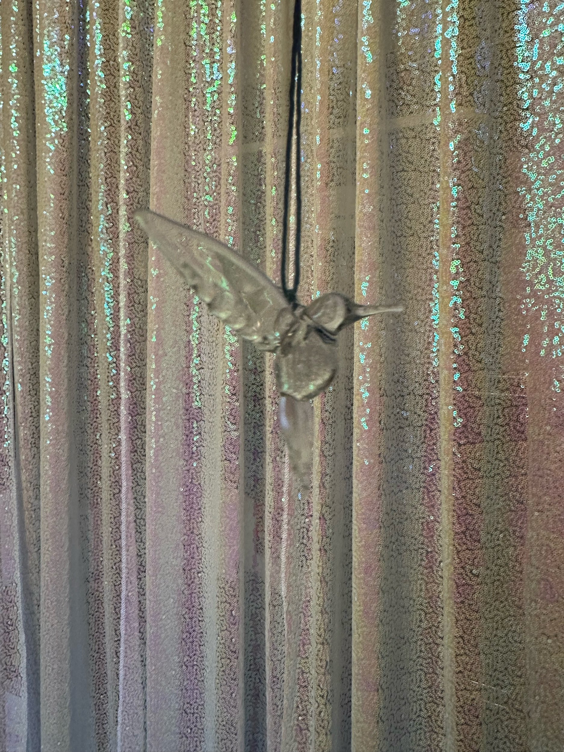 F166AB45-6183-4028-9F39-02F8A8A93493.jpeg