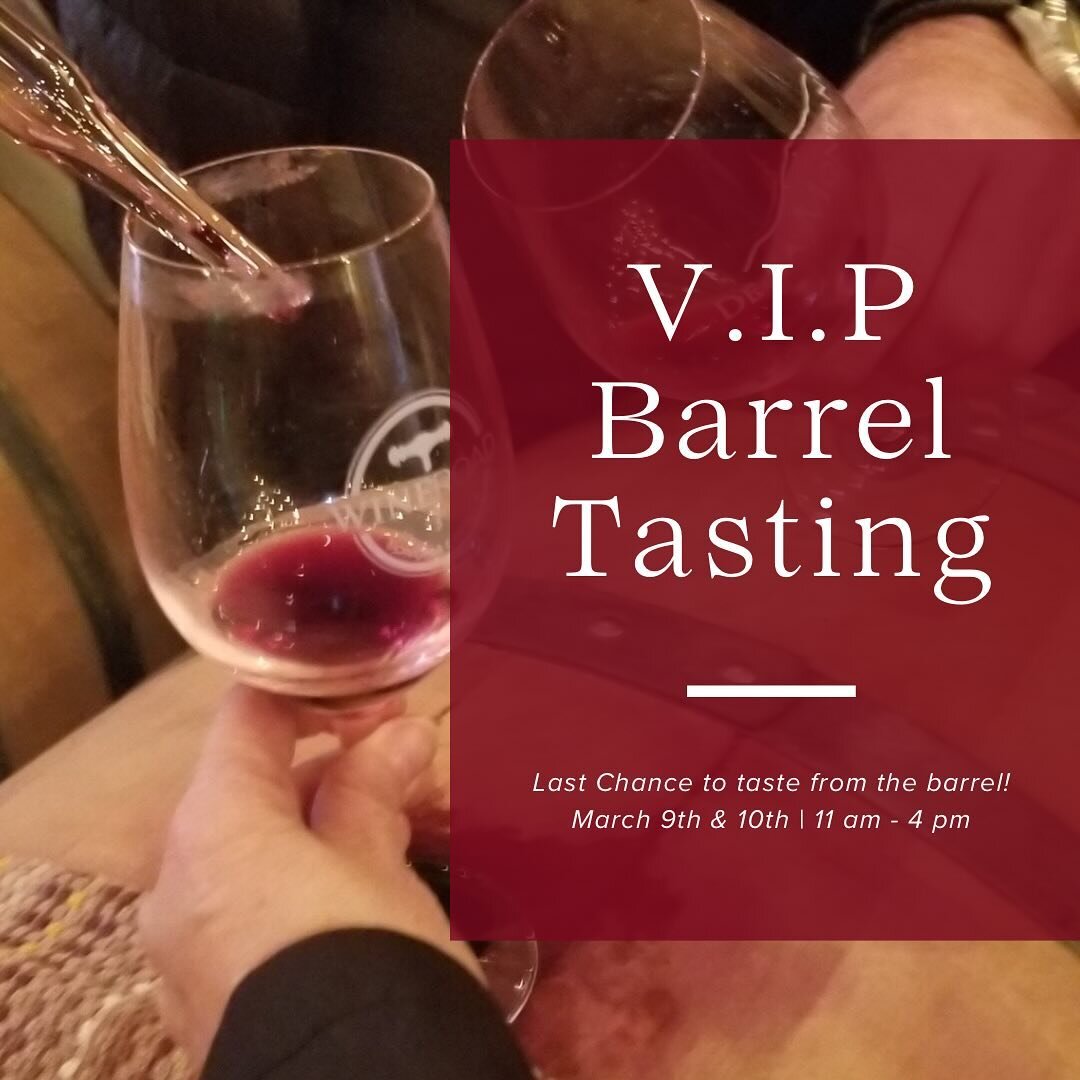 This weekend we are holding our VIP Barrel Tasting weekend at De La Montanya Winery. Designed for our cherished Wine Club and special friends and family, to provide a serene escape from the bustling crowds of Barrel Tasting Weekend. This occasion mar