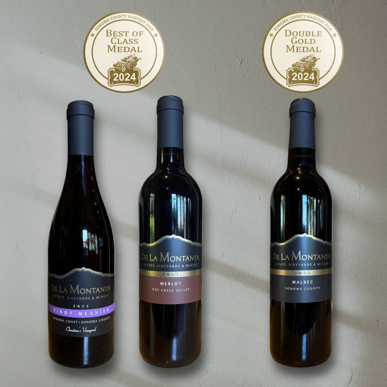 We're thrilled to share some exciting news from the 2024 Sonoma County Harvest Fair! 

Our 2023 Pinot Meunier and 2021 Merlot both won the esteemed &ldquo;Best of Class&rdquo; medals, highlighting the dedication and craftsmanship that go into each bo