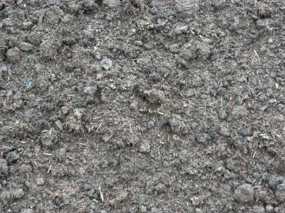 mushroomcompost.jpg