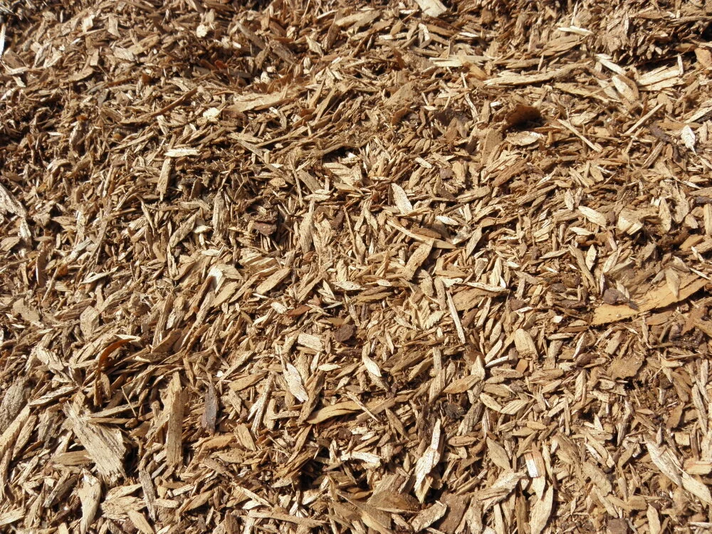 Eco mulch.JPG