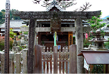 pic_spot01-02.jpg