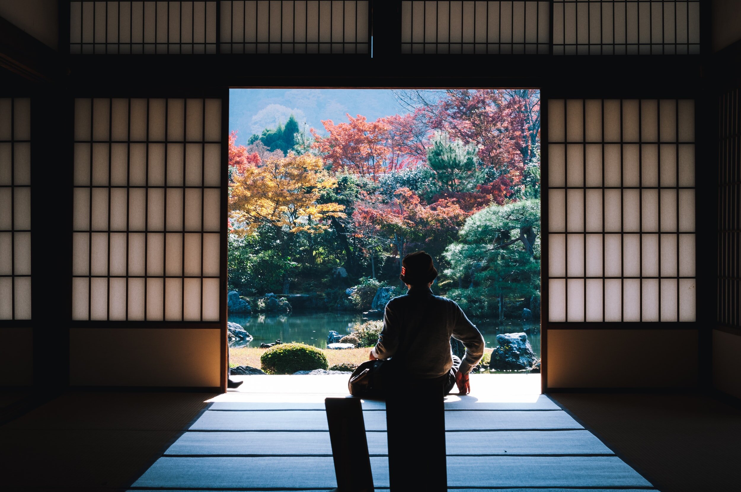 unsplash-image-qwPSnBvdhtI.jpg