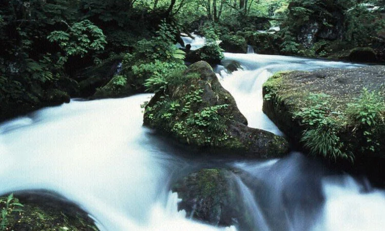 57_oirase_04-750x450.jpg