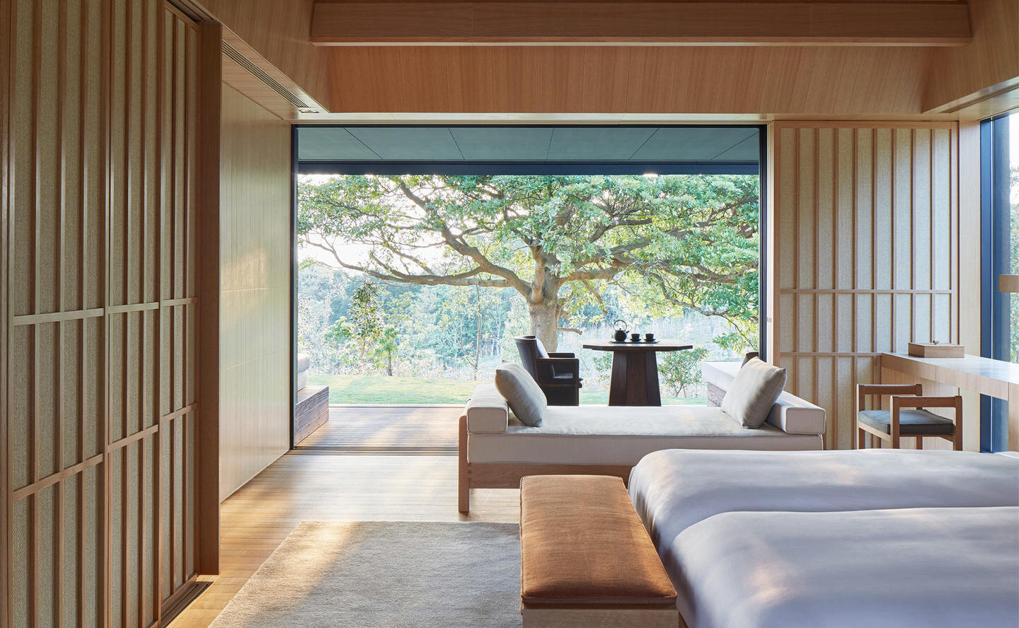 210125_AmanWebsite2021_LandscapeImageFrame_WholePixels_Amanemu_15.jpg