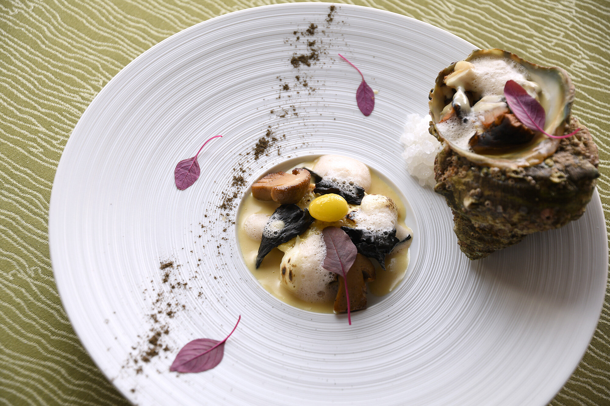 Sazae(turban shells).jpg