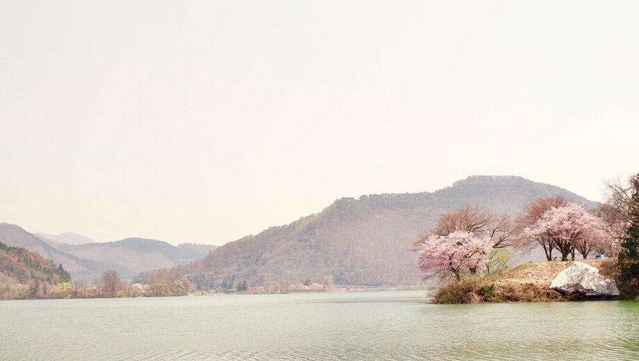 fig_supring_01.jpg