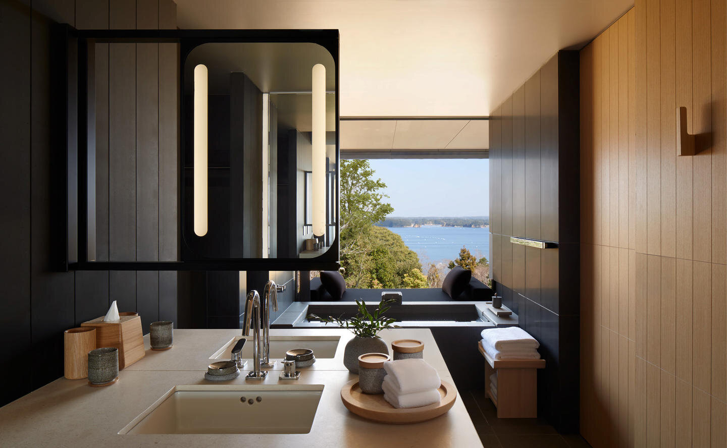 210125_AmanWebsite2021_LandscapeImageFrame_WholePixels_Amanemu_10.jpg