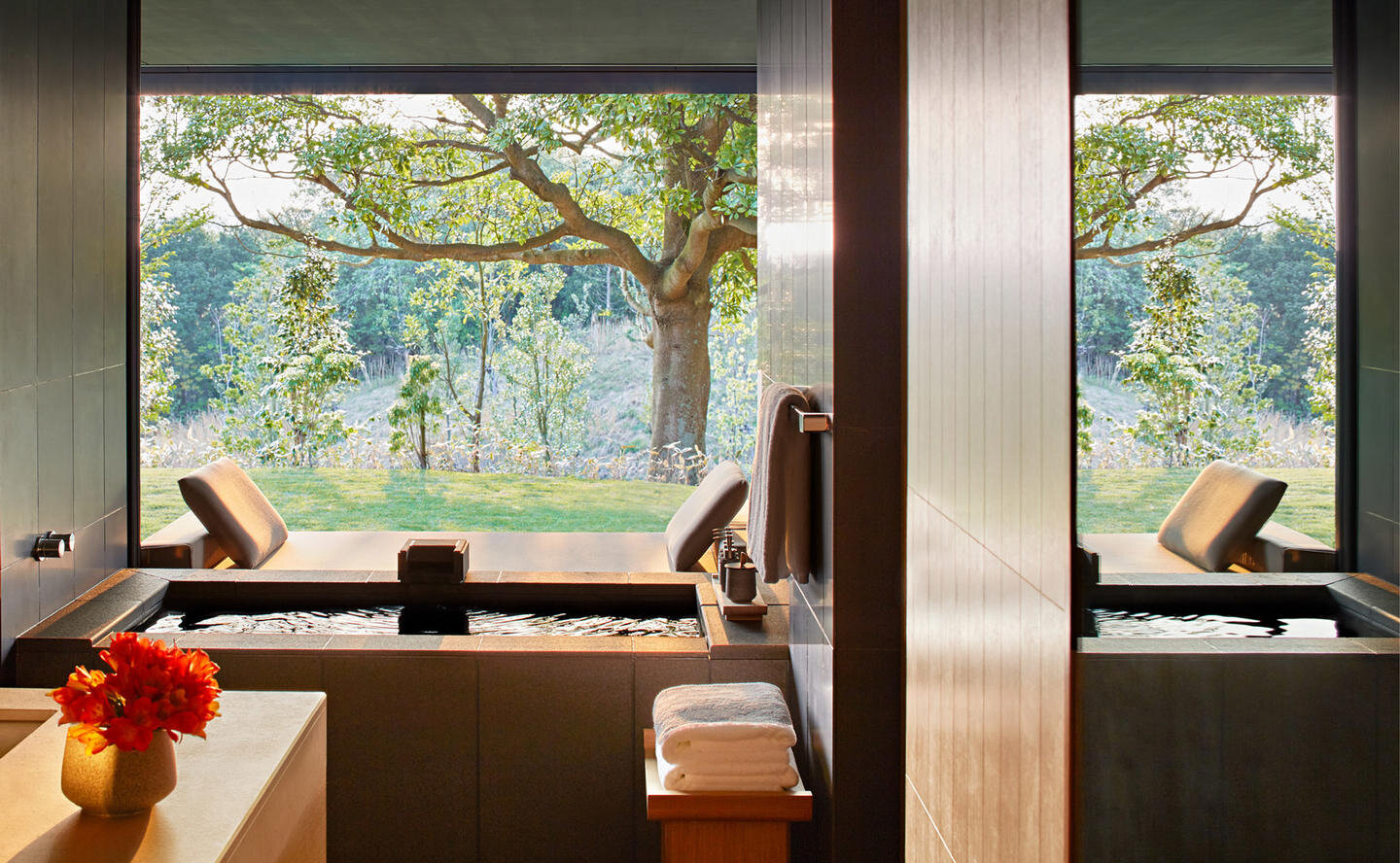 210125_AmanWebsite2021_LandscapeImageFrame_WholePixels_Amanemu_2.jpg