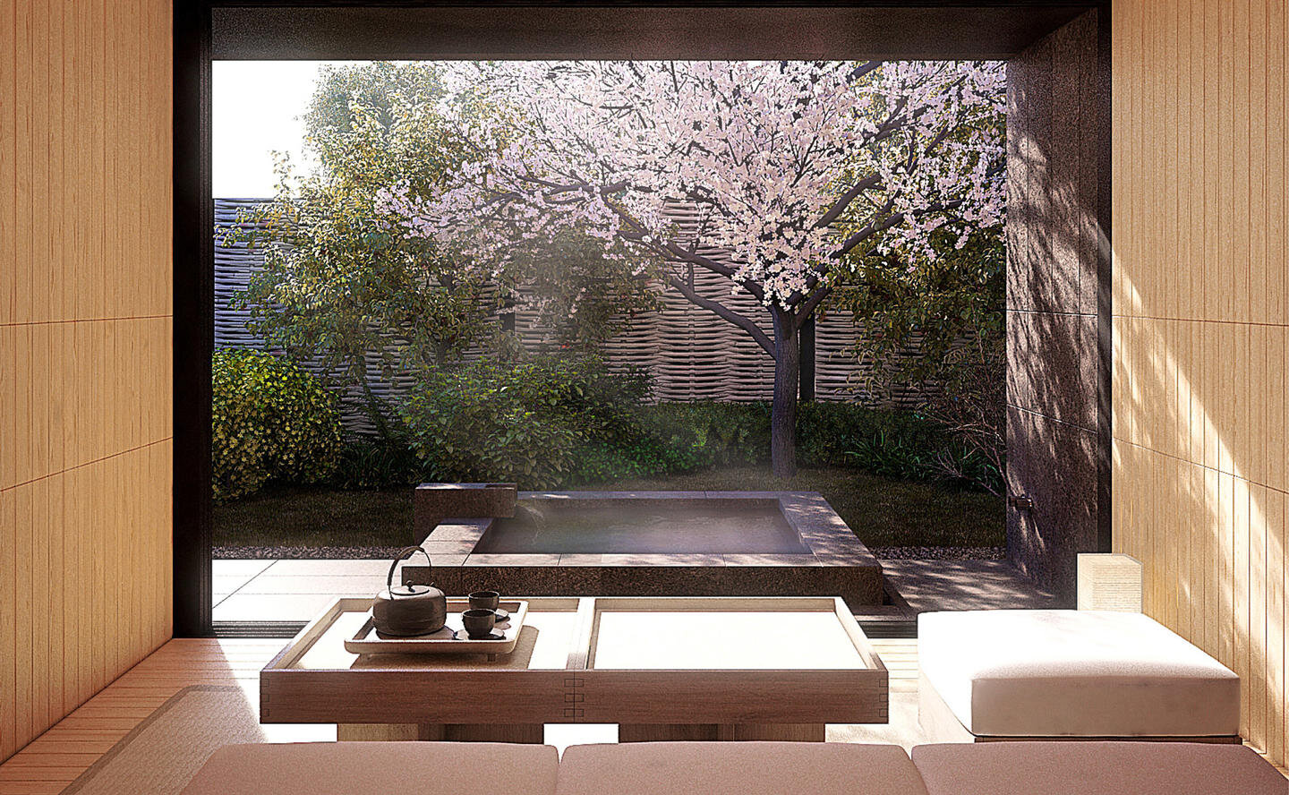 210125_AmanWebsite2021_LandscapeImageFrame_WholePixels_Amanemu_13.jpg