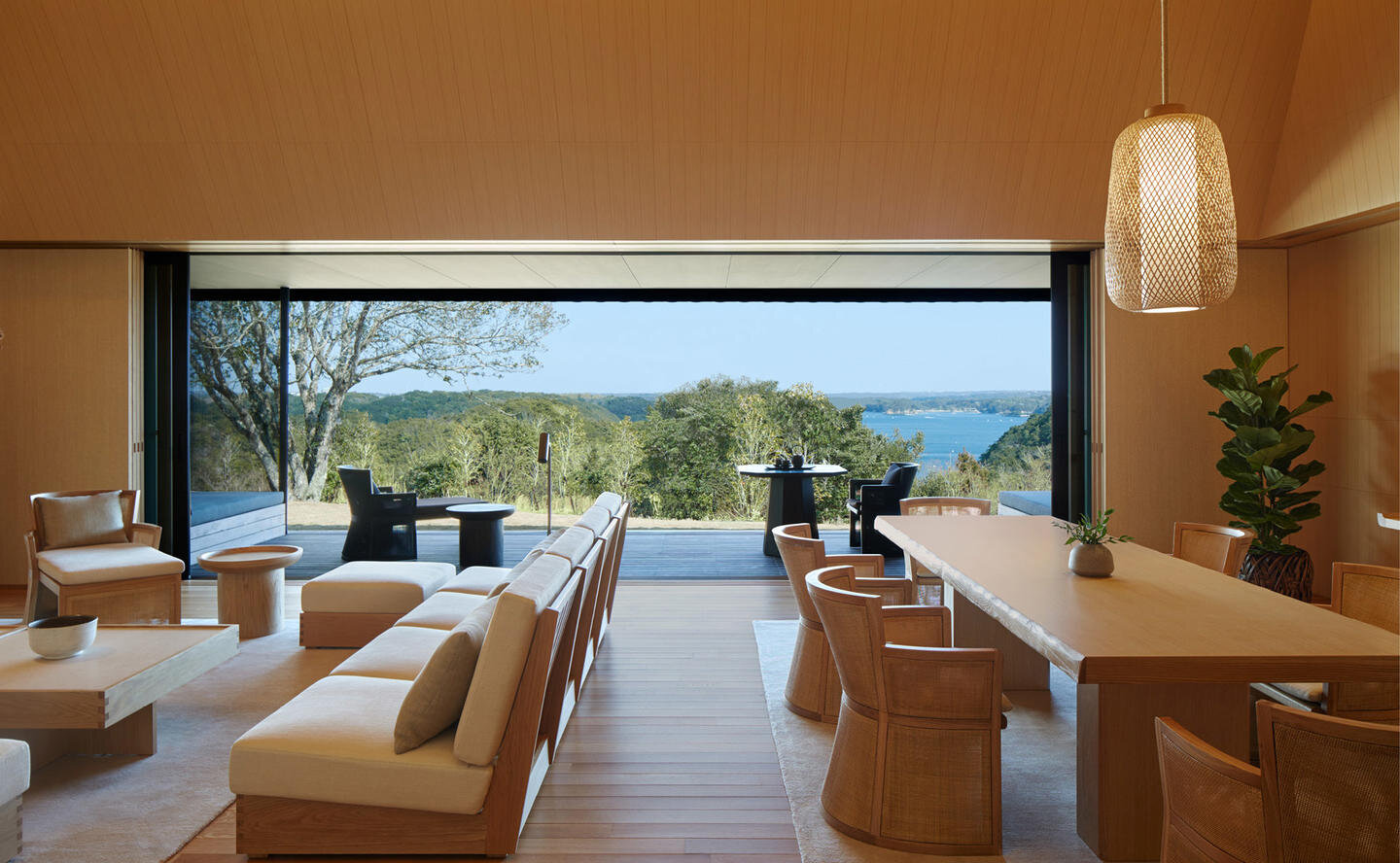 210125_AmanWebsite2021_LandscapeImageFrame_WholePixels_Amanemu_28.jpg