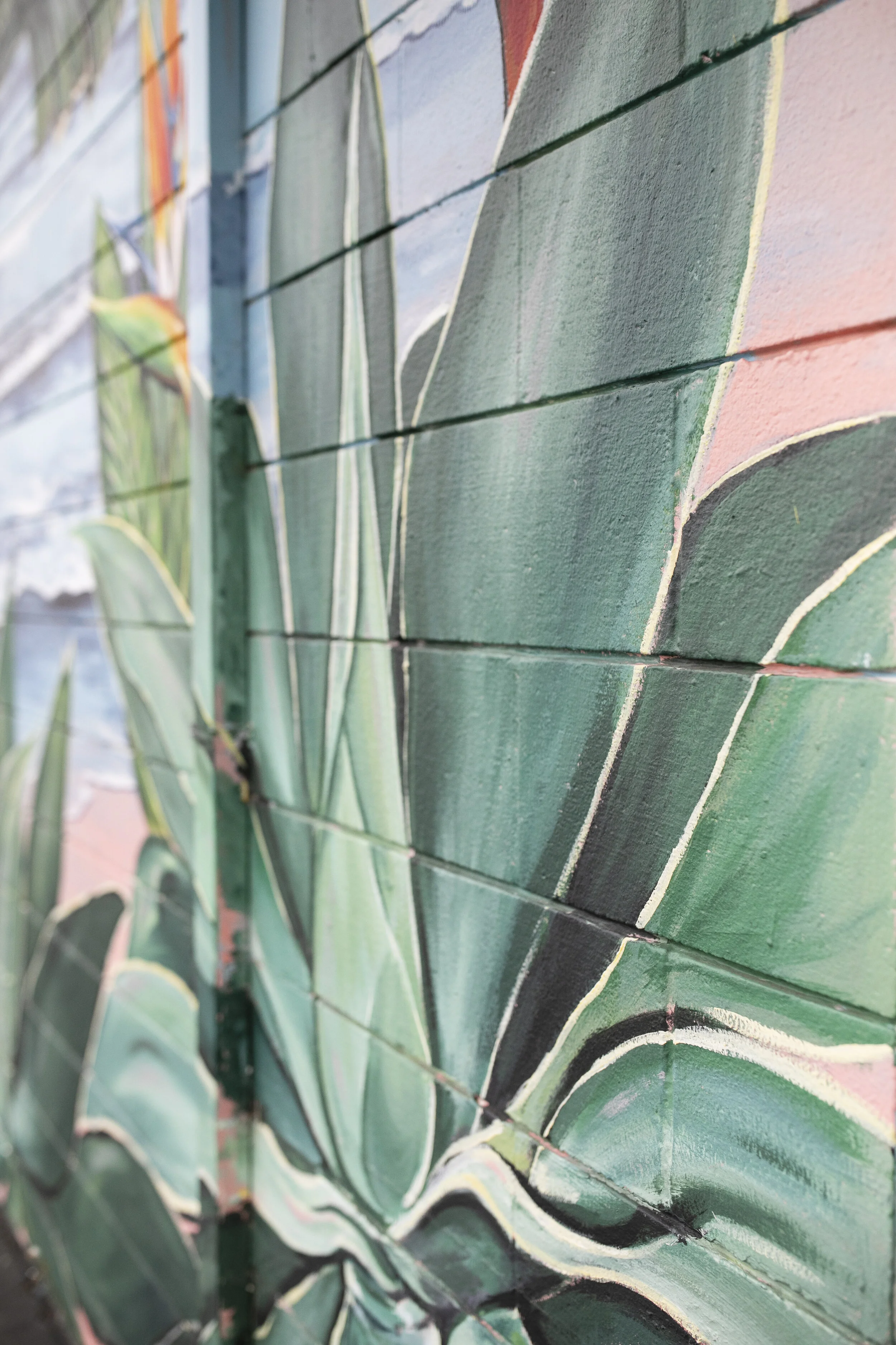 The Closet Shopper Eastside Santa Cruz Mural close up of plant / succulent leaves by local artist, Brittany Costanzo