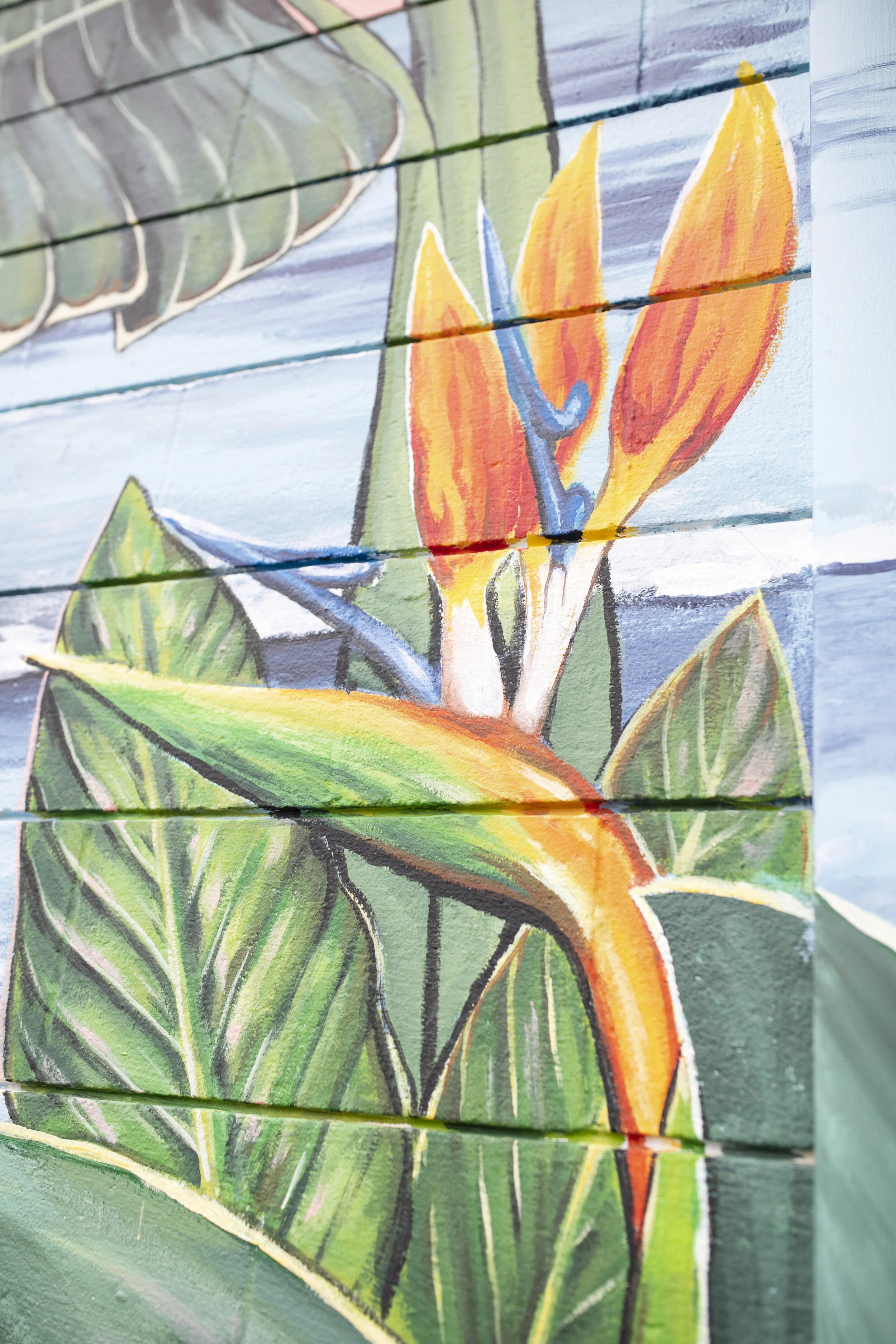 The Closet Shopper Eastside Santa Cruz Mural close up of Bird of Paradise Flowers by local artist, Brittany Costanzo