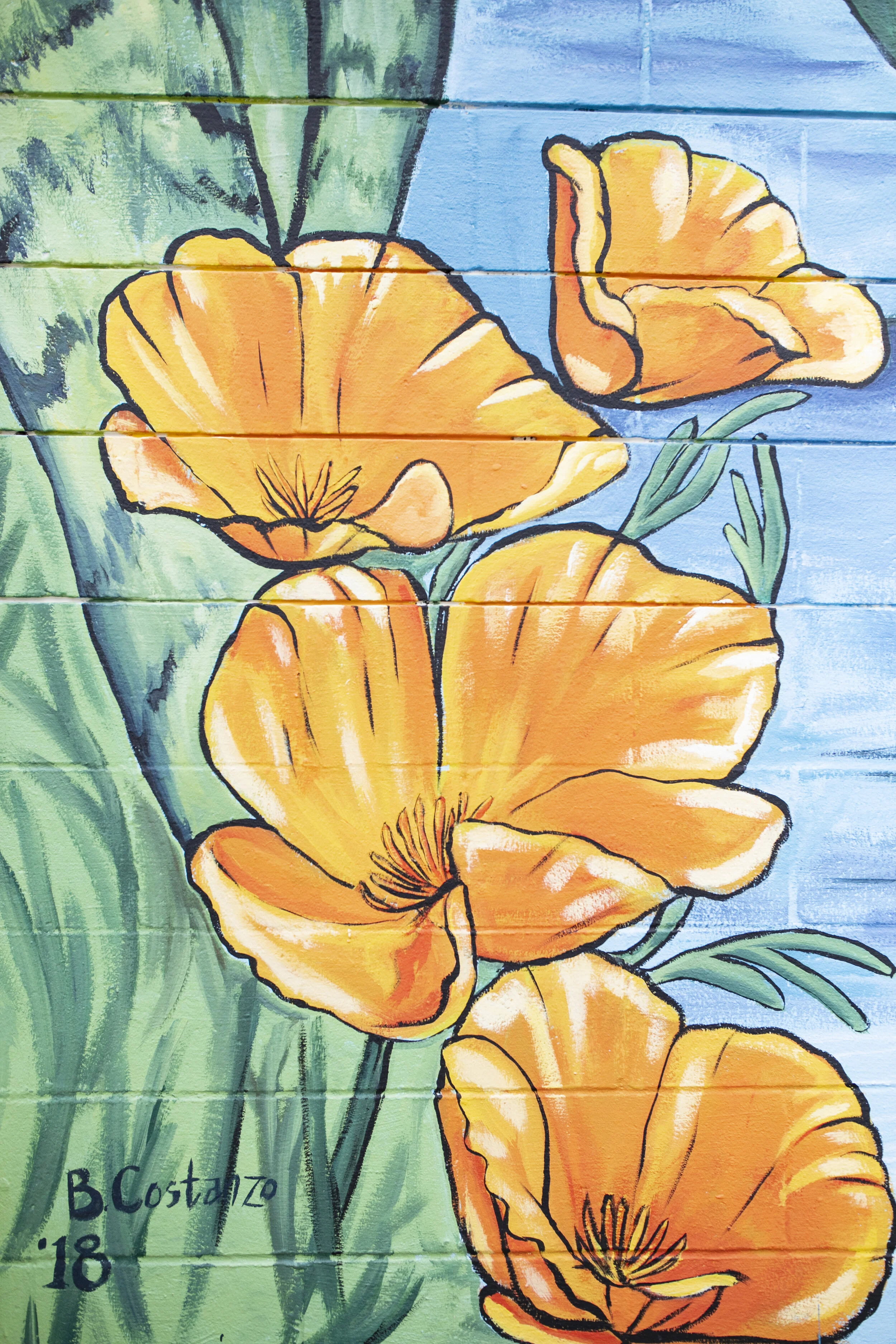 The Closet Shopper Eastside Santa Cruz Mural close up of California Poppies by local artist, Brittany Costanzo