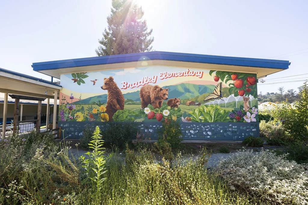 Bradley Elementary School Mural featuring grizzly bears, monarch butterflies, honey bees, strawberries, green hills, red apples, blackberries, and other local flowers, creatures, and plants by Brittany Costanzo Creative 2026