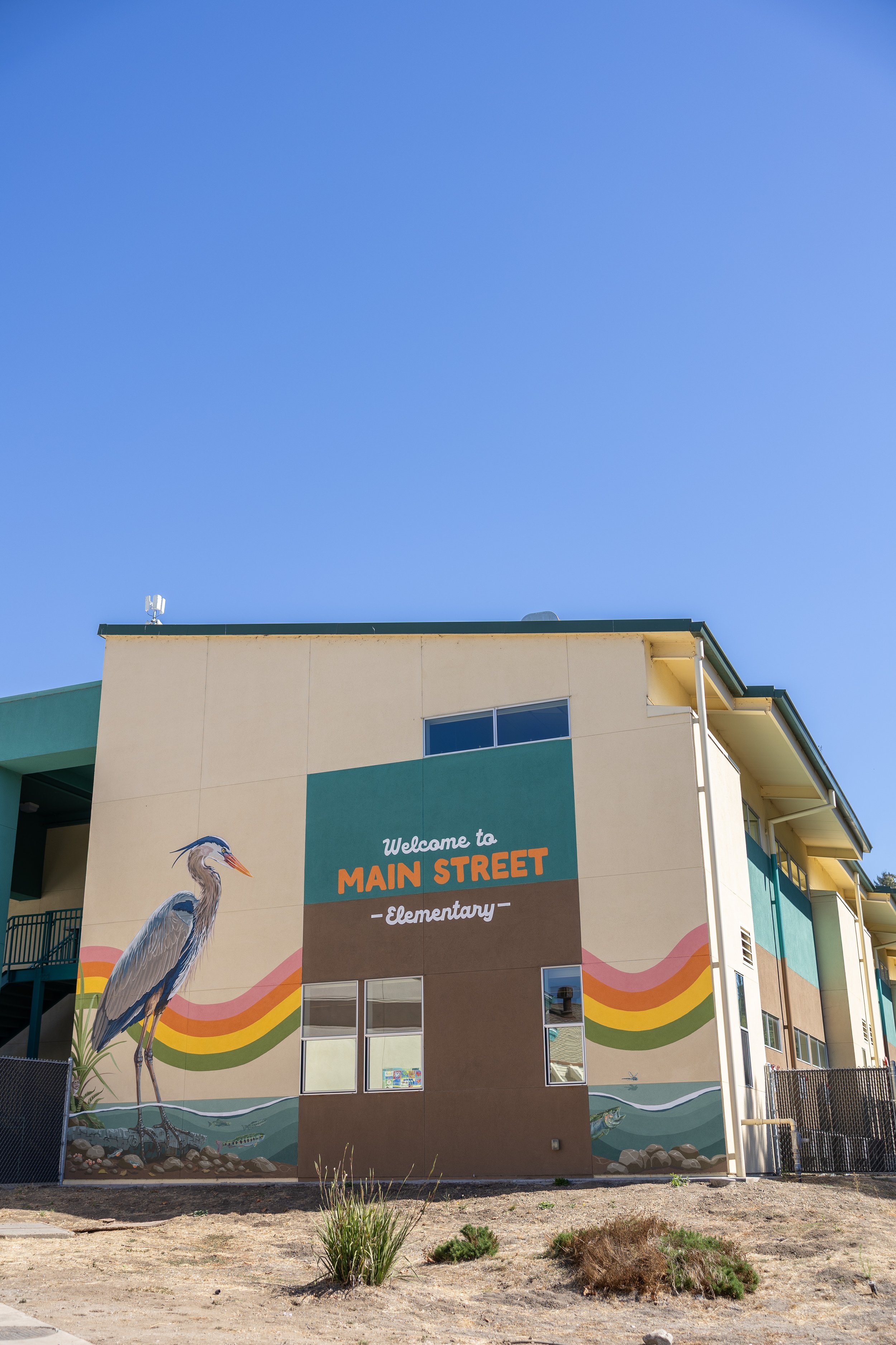 Main Street Elementary School Mural in Soquel, CA, inspired by local wildlife of Soquel Creek, with a blue heron, fish, rocks, water, and colorful swirling lines tying it all together by Brittany Costanzo 2026