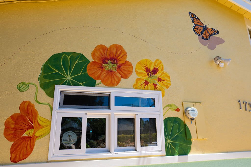 Santa Cruz Toddler Care Center Mural with nasturtium flowers, a monarch butterfly, and a caterpillar by Brittany Costanzo Creative 2026