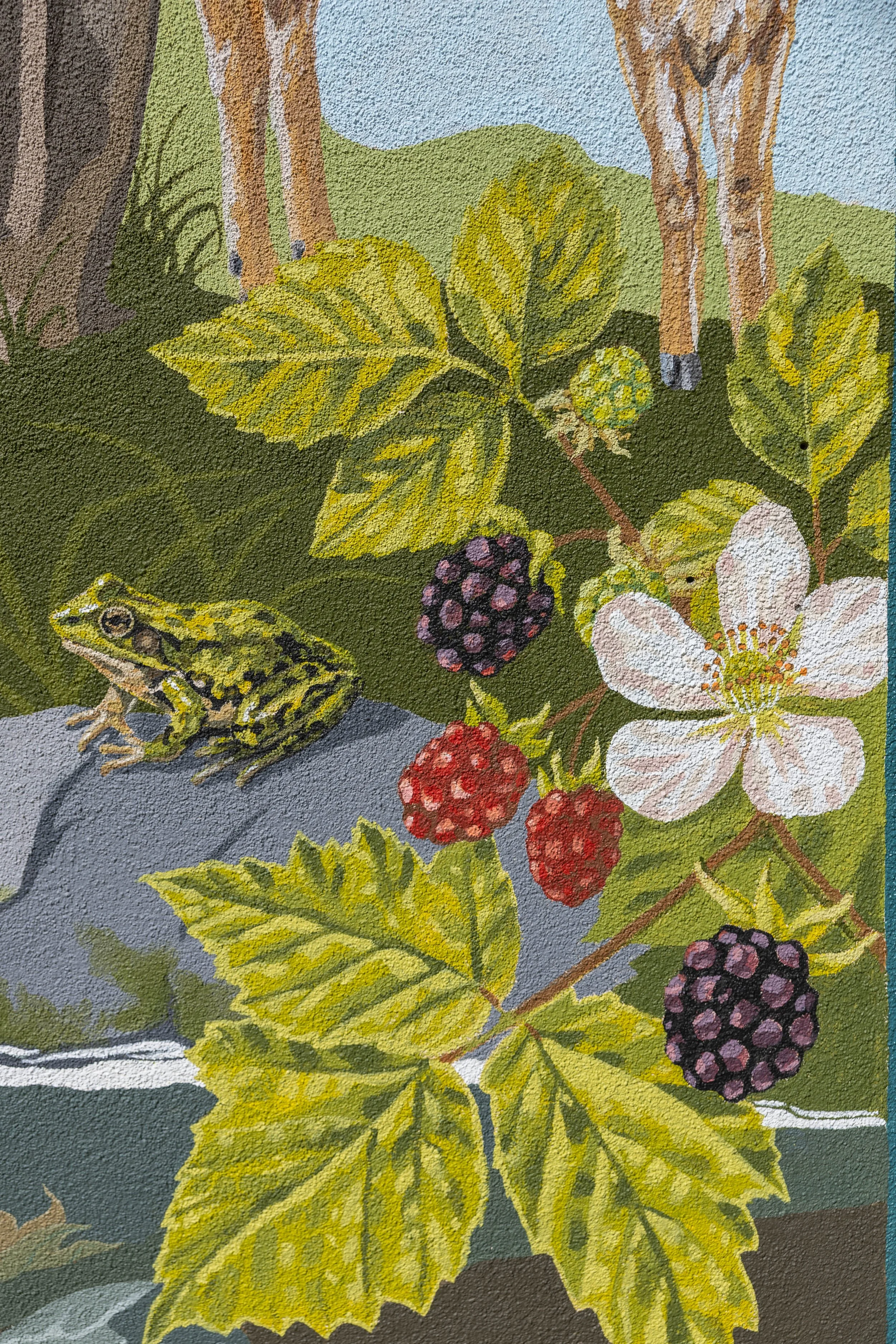 Close up of Main Street Elementary School Mural in Soquel, CA, inspired by local wildlife of Soquel Creek, with deer, trees, berries, a frog, and rocks by Brittany Costanzo 2026