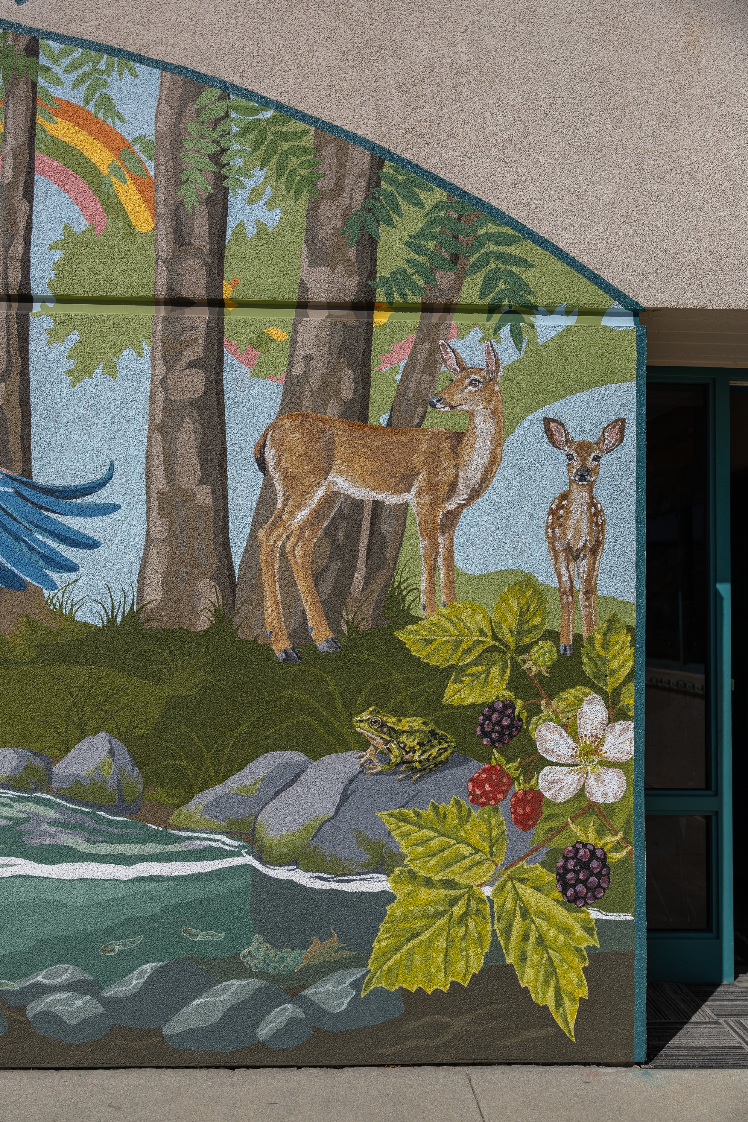 Close up of Main Street Elementary School Mural in Soquel, CA, inspired by local wildlife of Soquel Creek, with deer, trees, berries, a frog, rocks, and colorful swirling lines tying it all together by Brittany Costanzo 2026