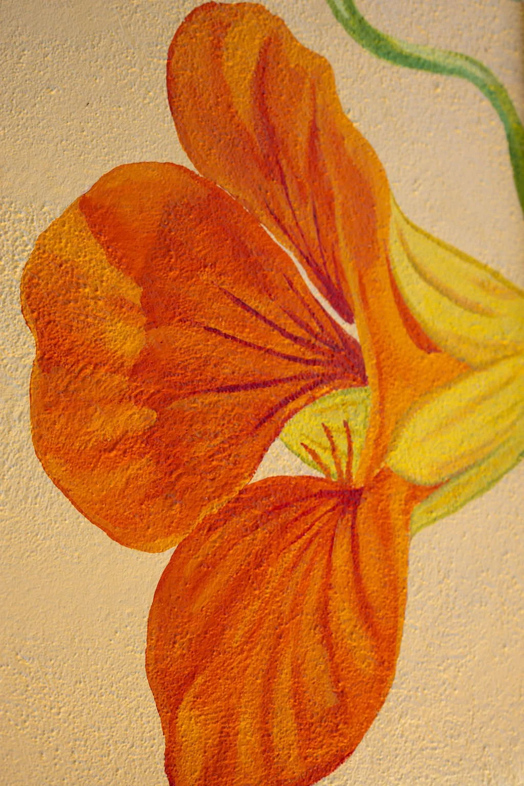 Santa Cruz Toddler Care Center Mural close up of nasturtium flowers by Brittany Costanzo Creative 2026