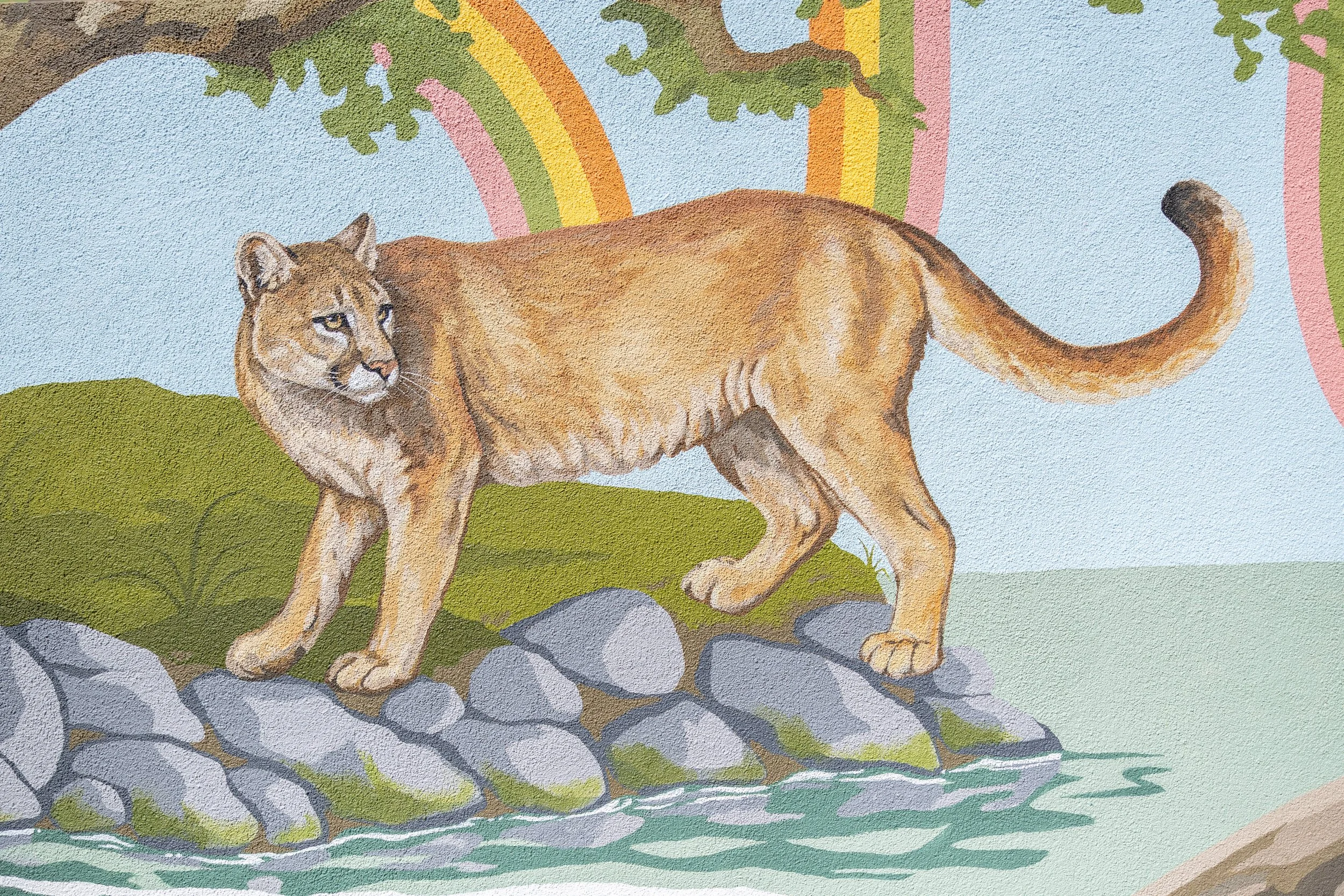 Close up of Main Street Elementary School Mural in Soquel, CA, inspired by local wildlife of Soquel Creek, with a mountain lion, trees, stones, and colorful swirling lines tying it all together by Brittany Costanzo 2026