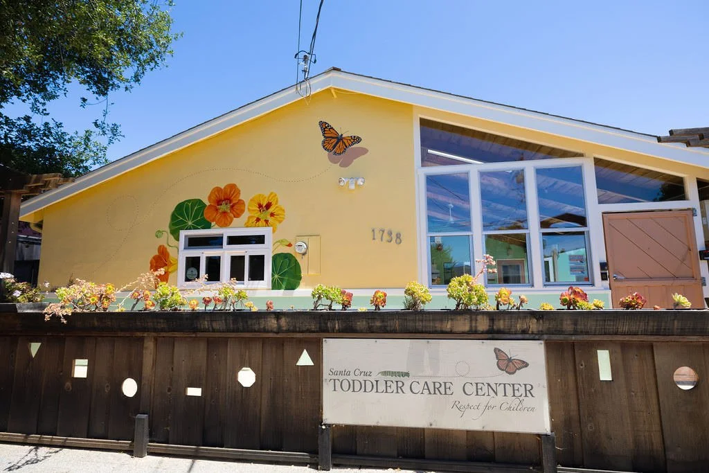 Santa Cruz Toddler Care Center Mural with nasturtium flowers, a monarch butterfly, and a caterpillar by Brittany Costanzo Creative 2026