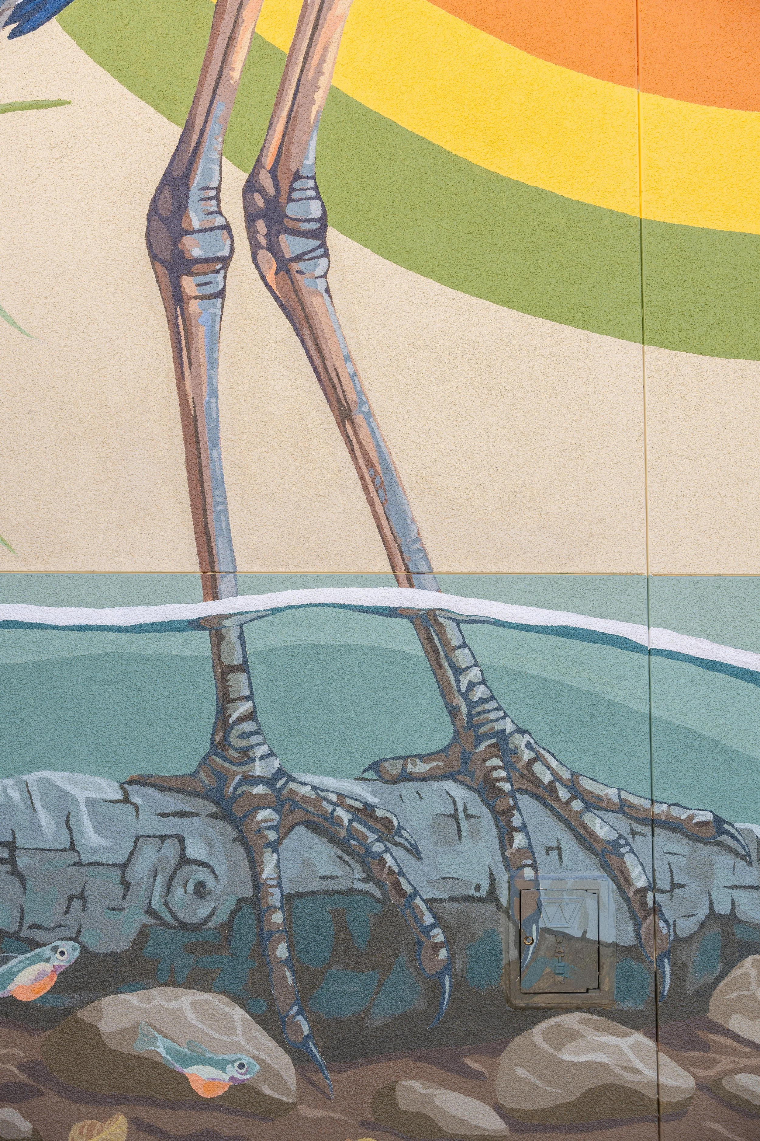 Close up of Main Street Elementary School Mural in Soquel, CA, inspired by local wildlife of Soquel Creek, with a blue heron, fish, rocks, water, and colorful swirling lines tying it all together by Brittany Costanzo 2026