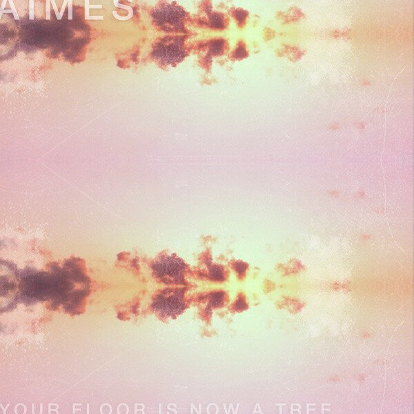 AIMES+-+Your+Floor+Is+Now+a+Tree.jpg