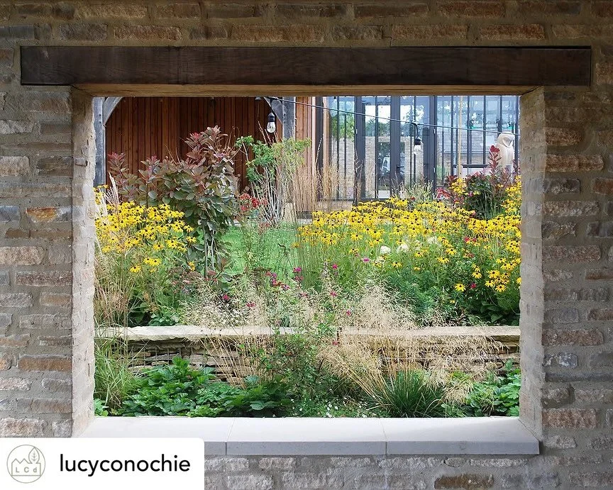 Glimpses of the planting on this wonderful project in the Cotswolds. @lucyconochie designed this garden and I&rsquo;ve been lucky enough to collaborate with her on the planting design. We only planted in the spring and look at it already. More to com