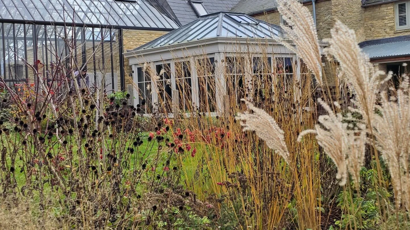 Winter has arrived at this Cotswolds garden designed by @lucyconochie. I worked with her on the planting design and @lwa_gardens has been in charge of aftercare. 

Designing in - and not chopping back - plenty of grasses and perennials that are eithe