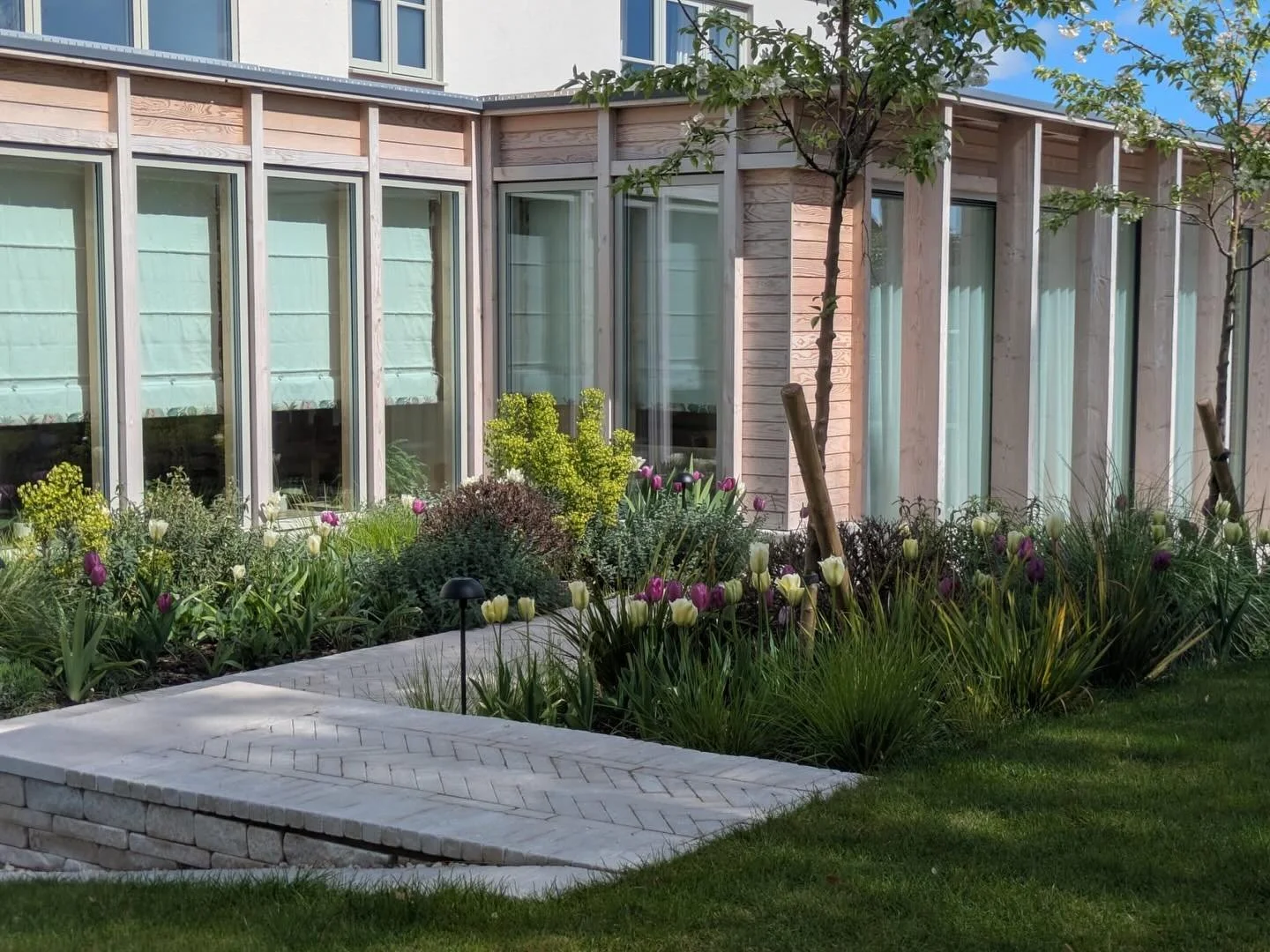 Gorgeous pics taken by gardener @georgiekbarnes at our project near Saffron Walden completed last year. Garden design by @lucyconochie, build by @suffolklandscapeconstruction and planting designed by moi.
