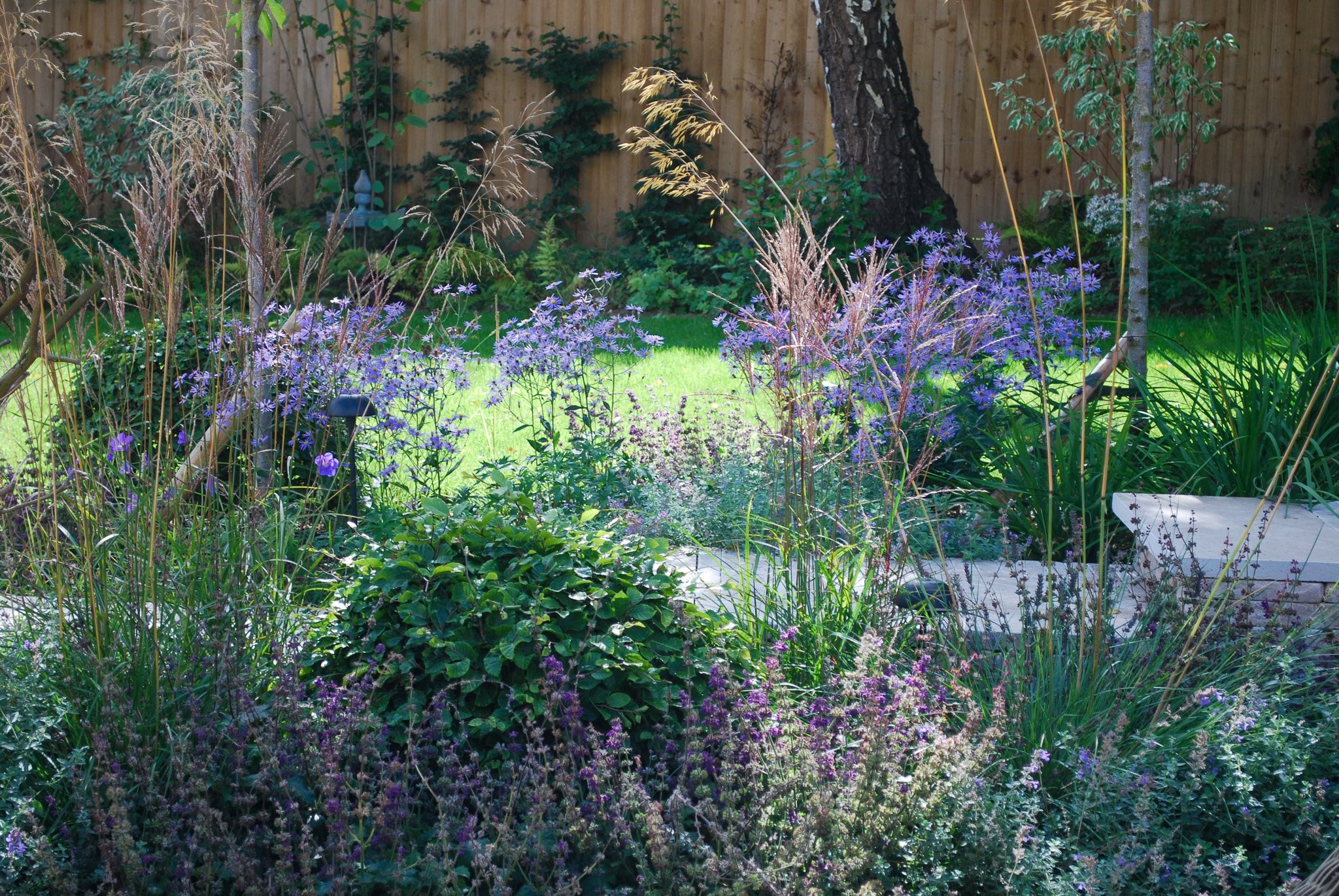 Alexa Ryan-Mills_SaffronWalden 5.jpg