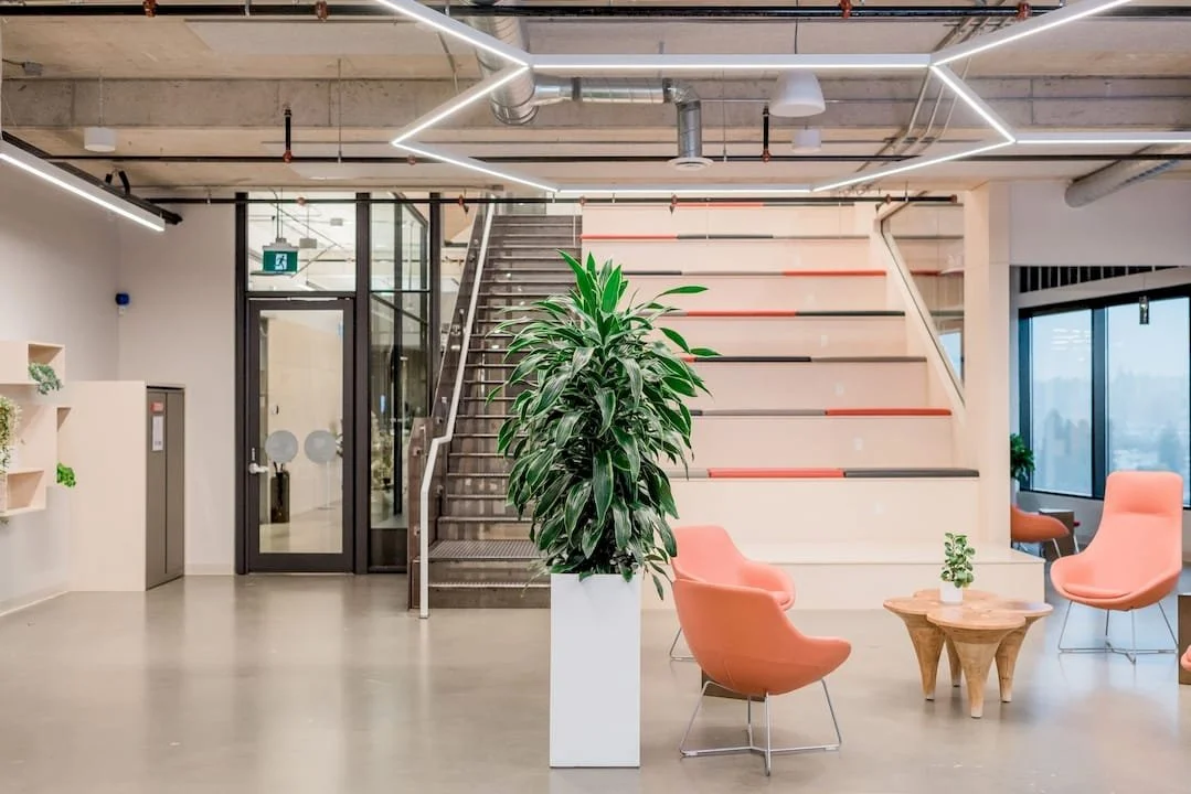 Indoor Plant Rental