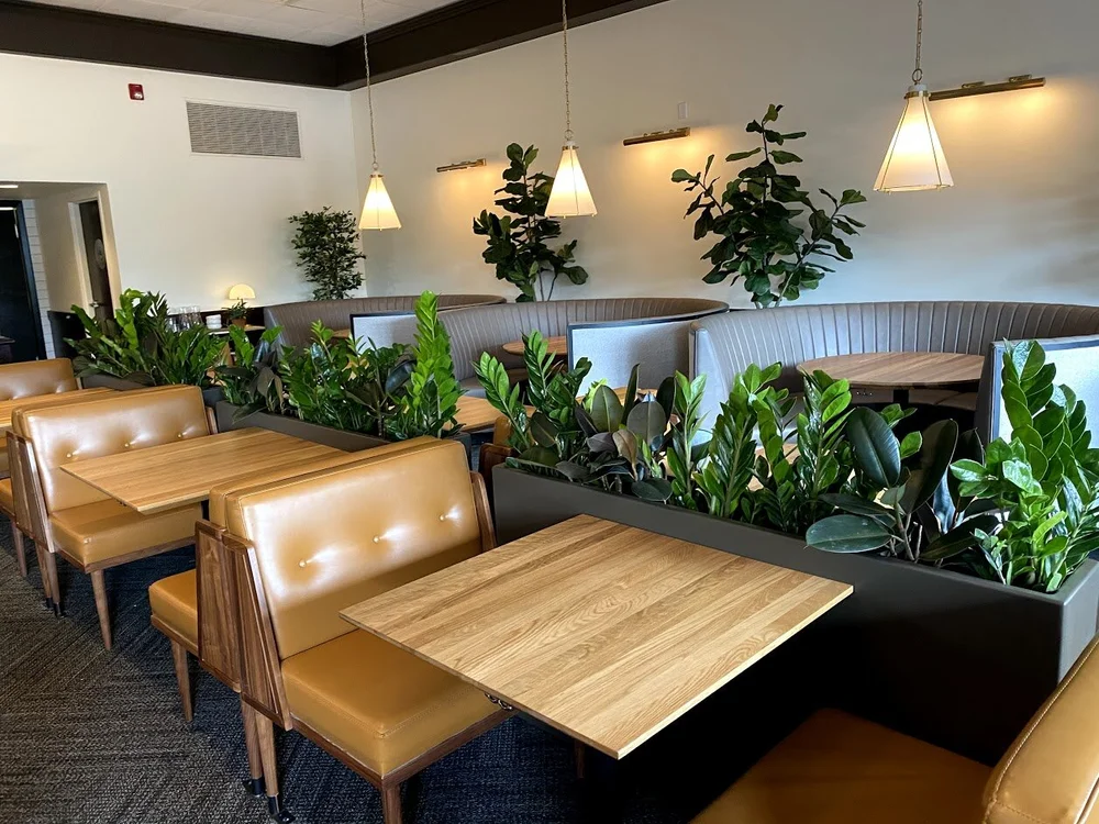 Photos — Greenspace Indoor Office Plants Vancouver