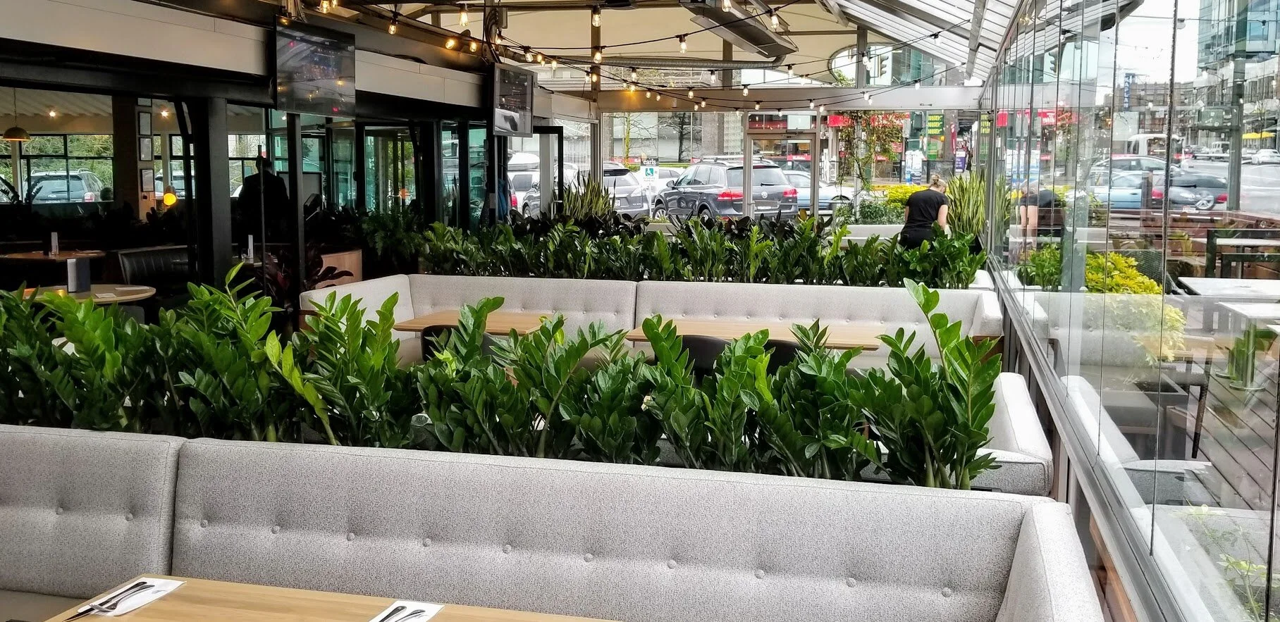 Office Plants & Indoor Plants Vancouver Canada