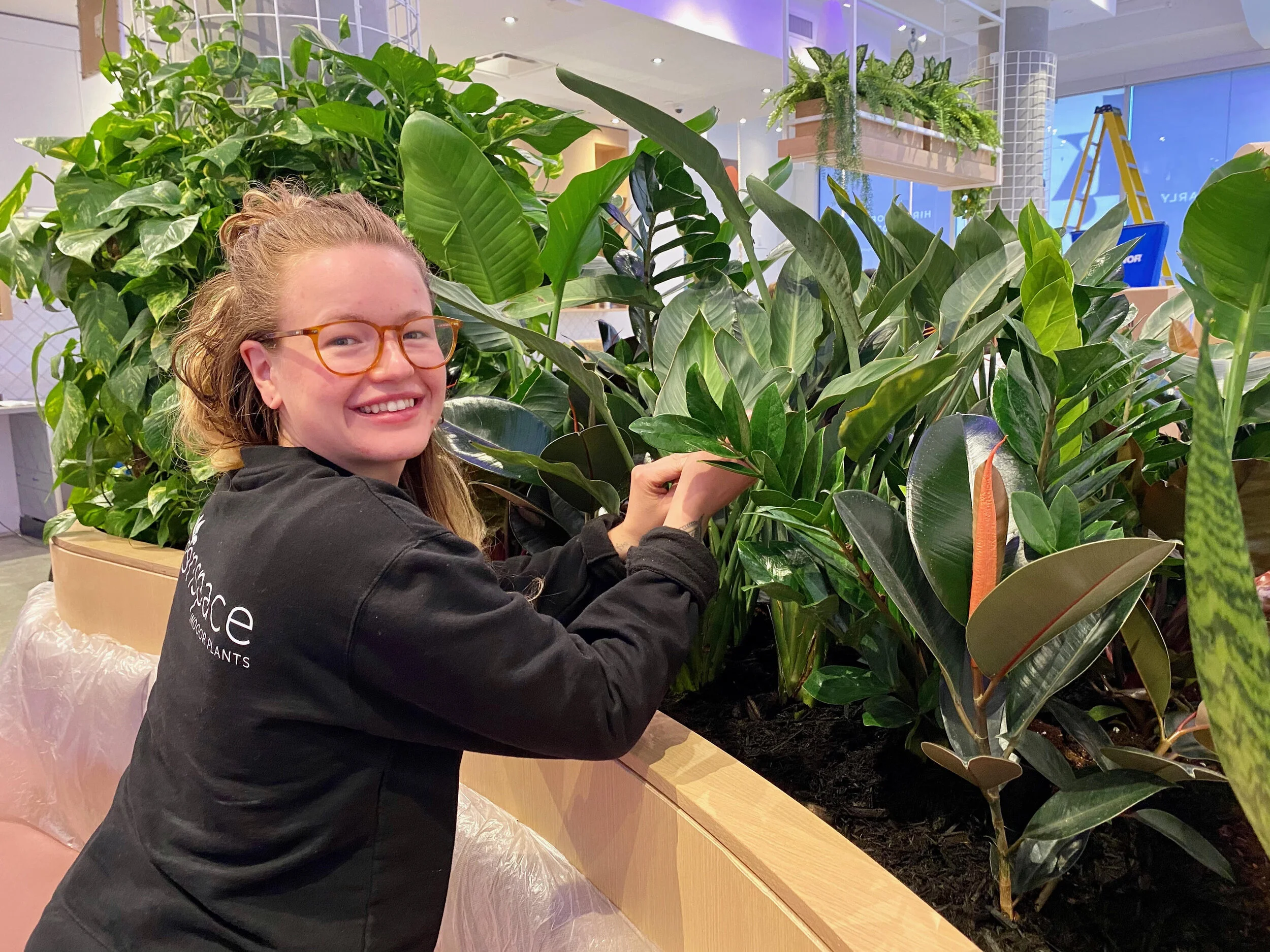 Indoor Plants Vancouver