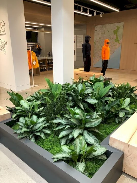 plants installed in 2025